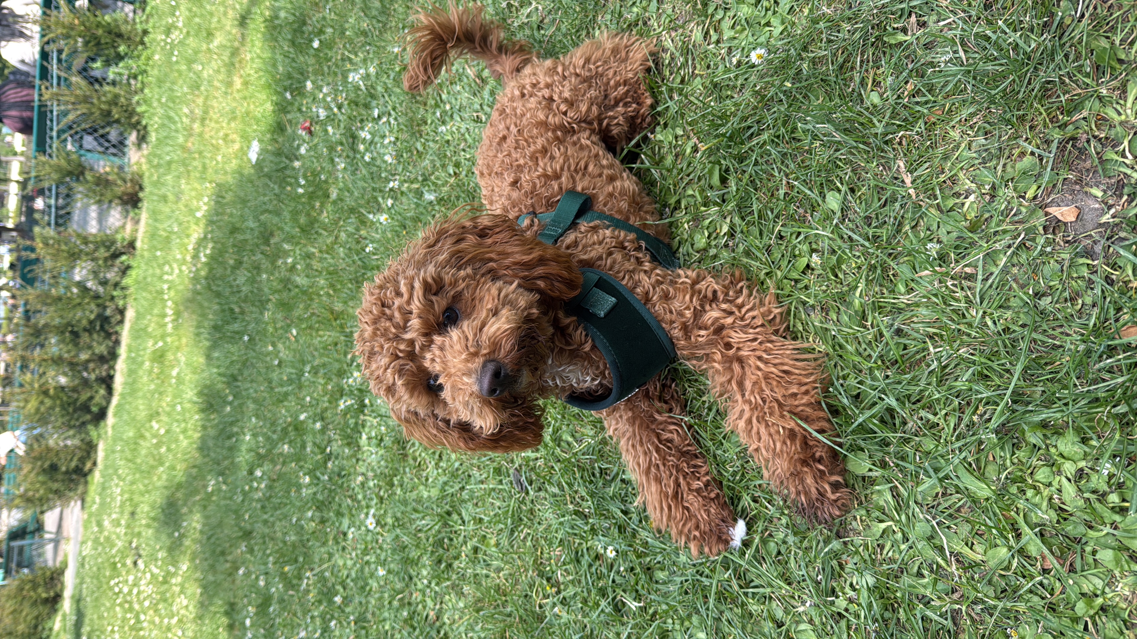 image-6