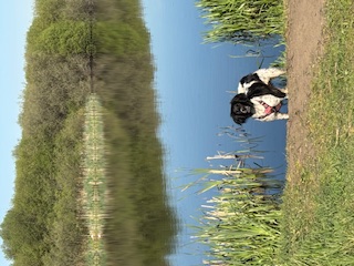 image-31