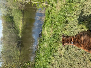image-28