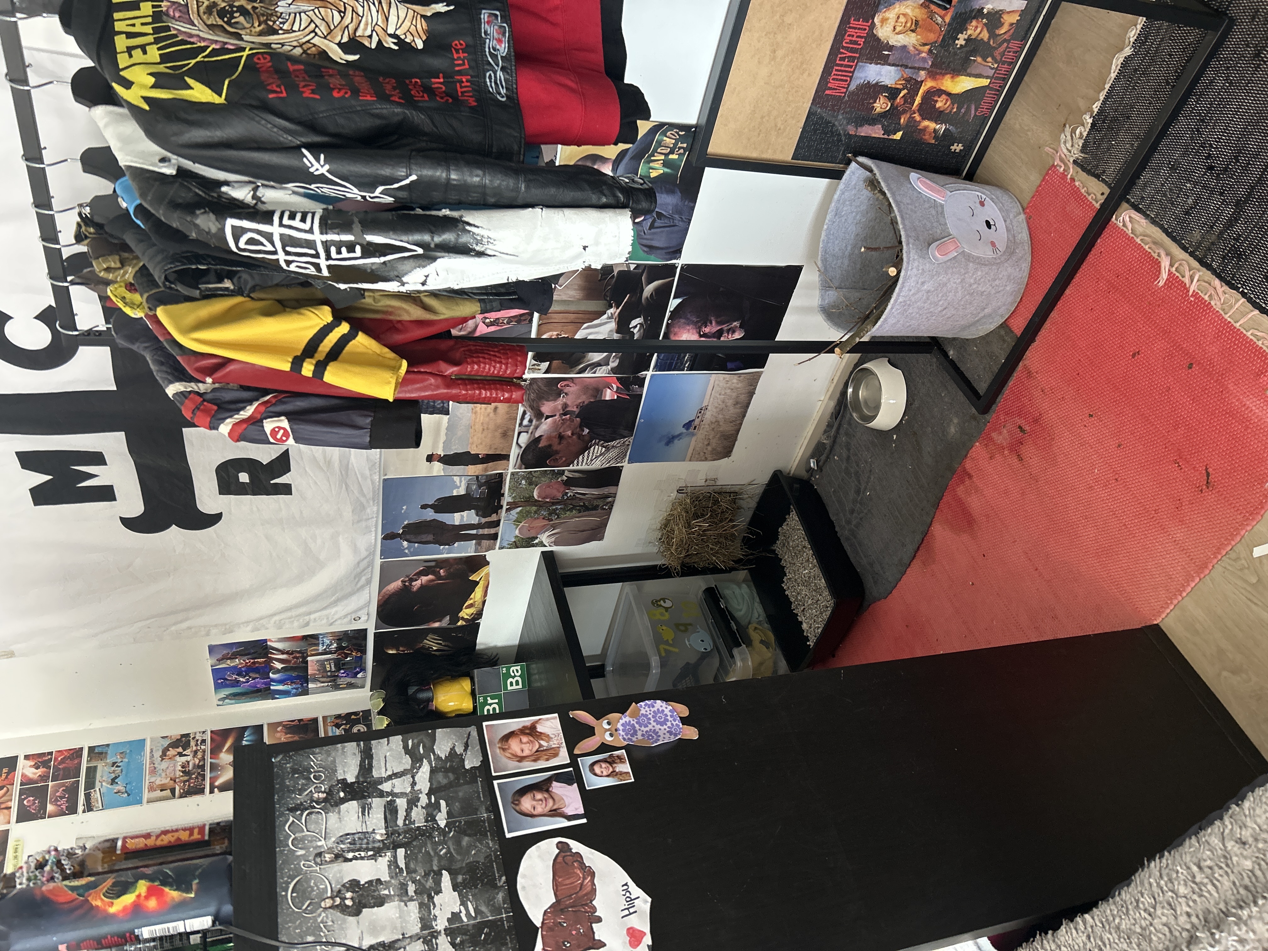 image-8