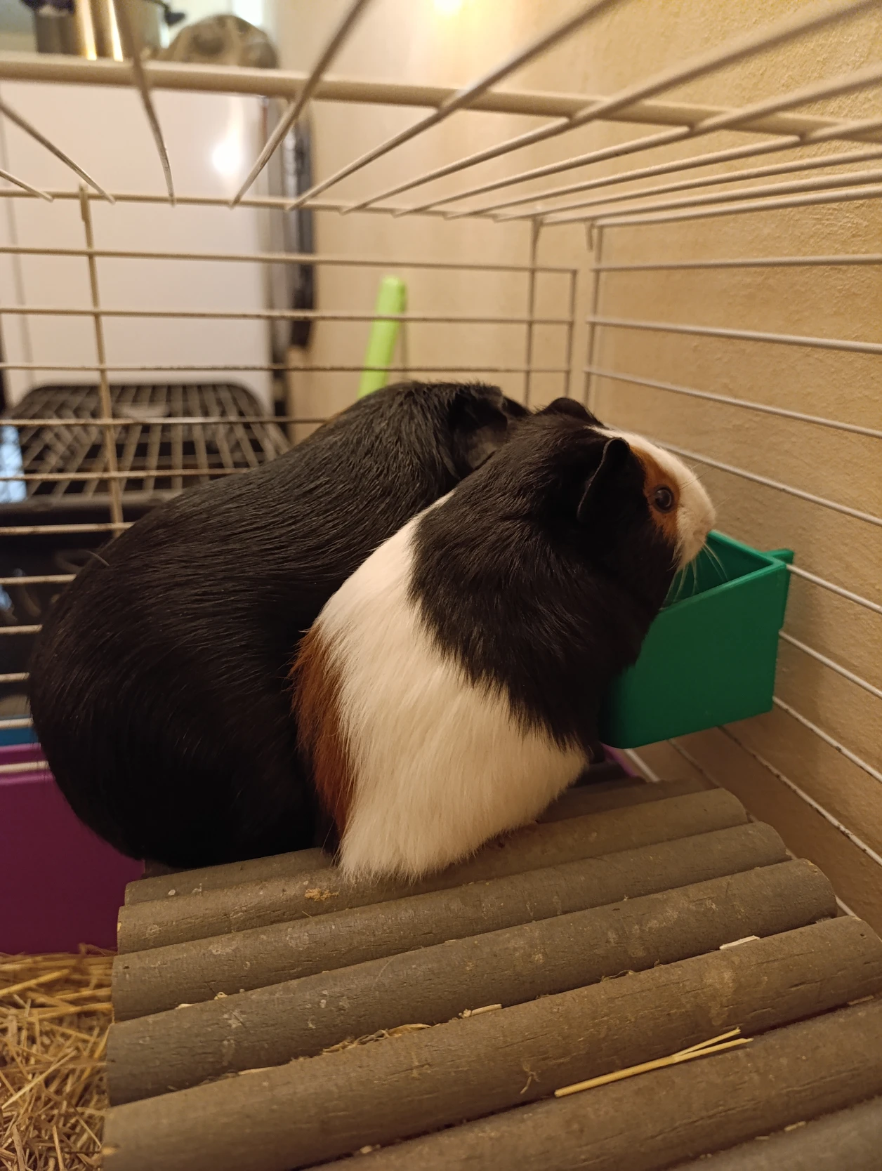 image-11