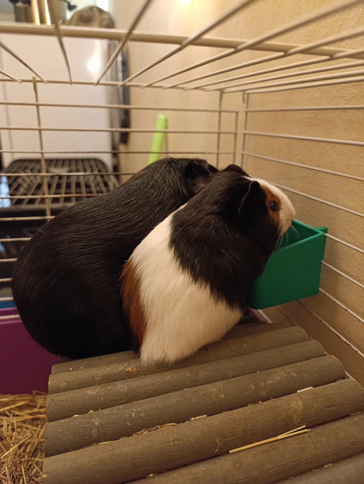 image-11