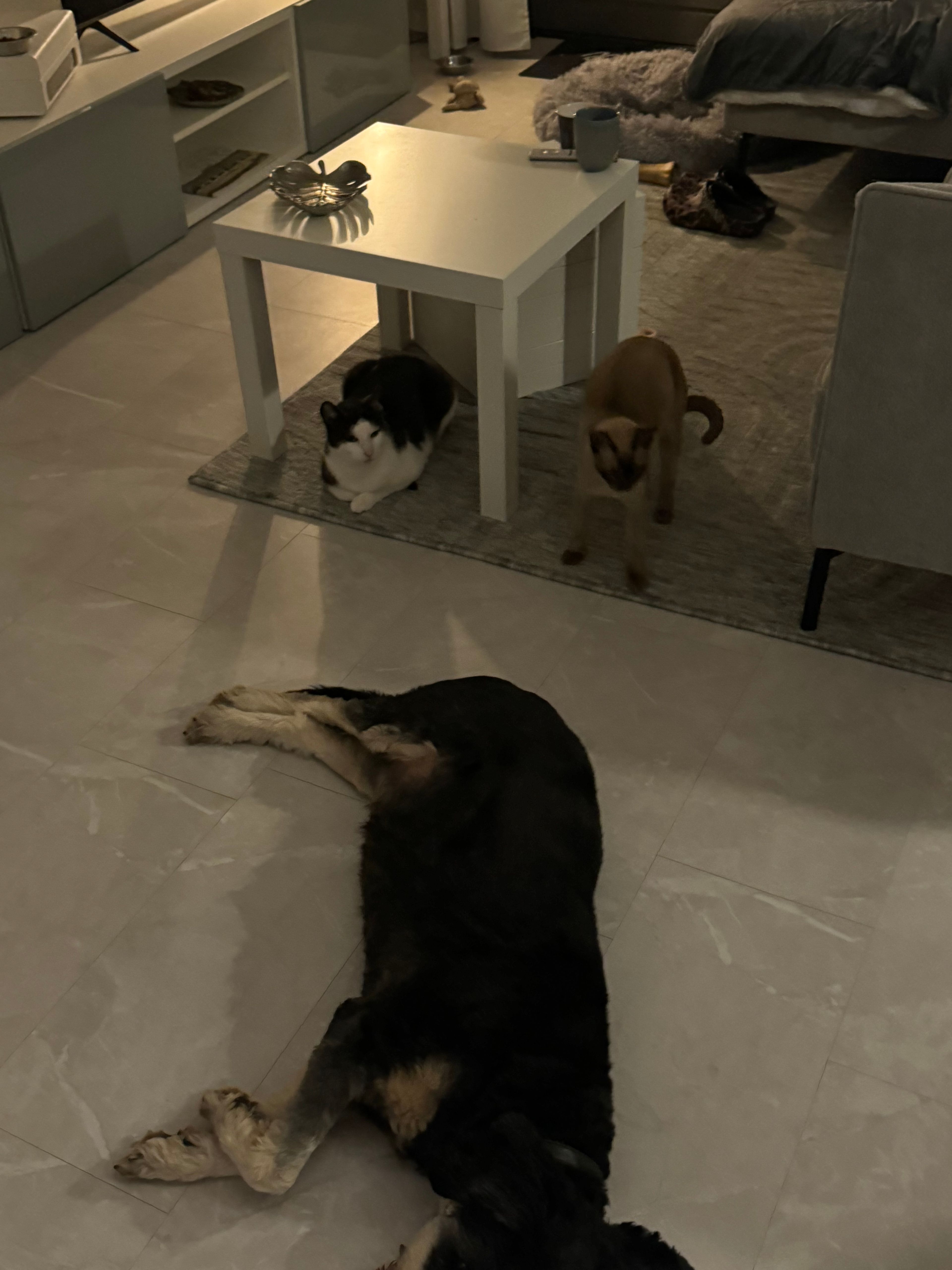 image-21
