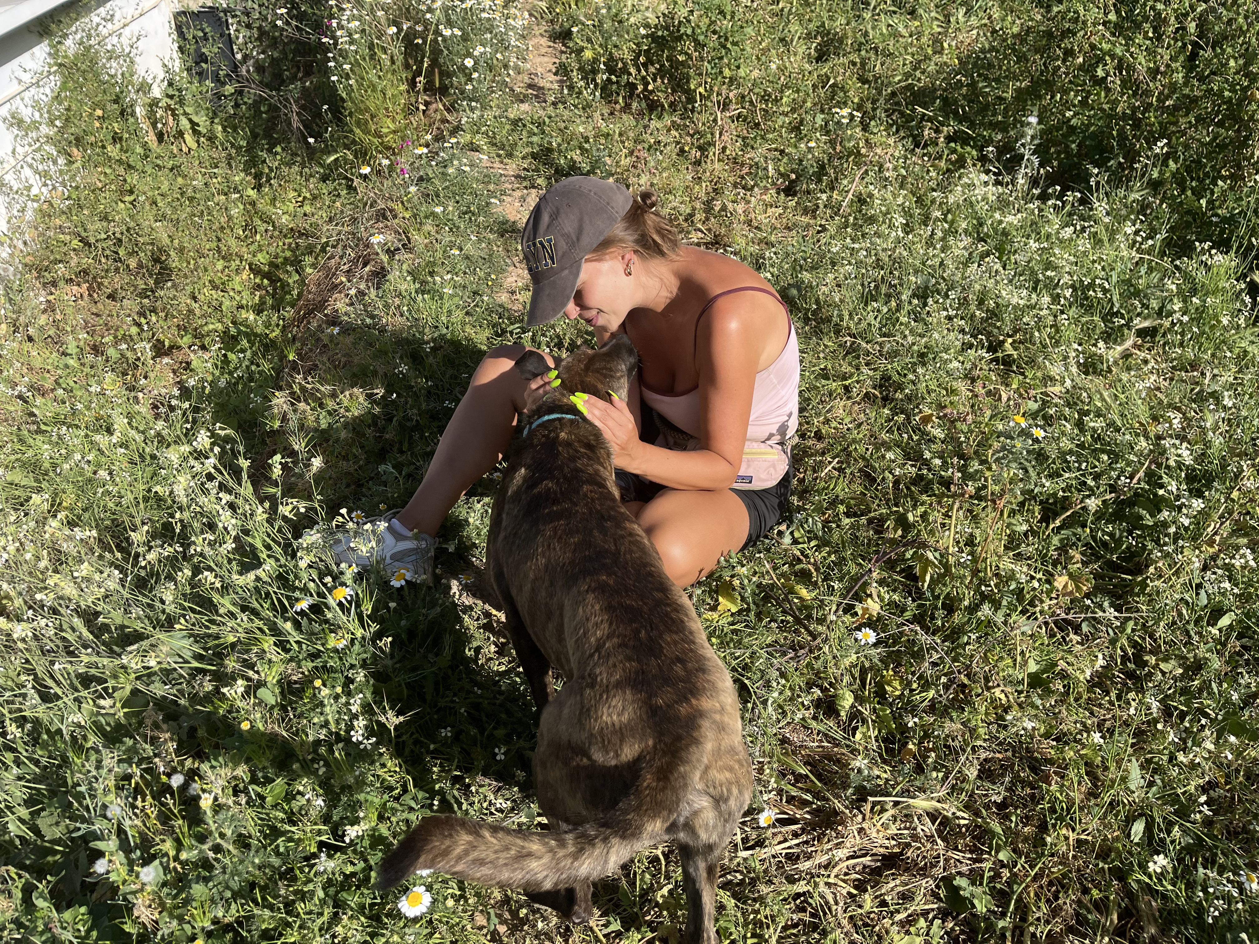 image-2