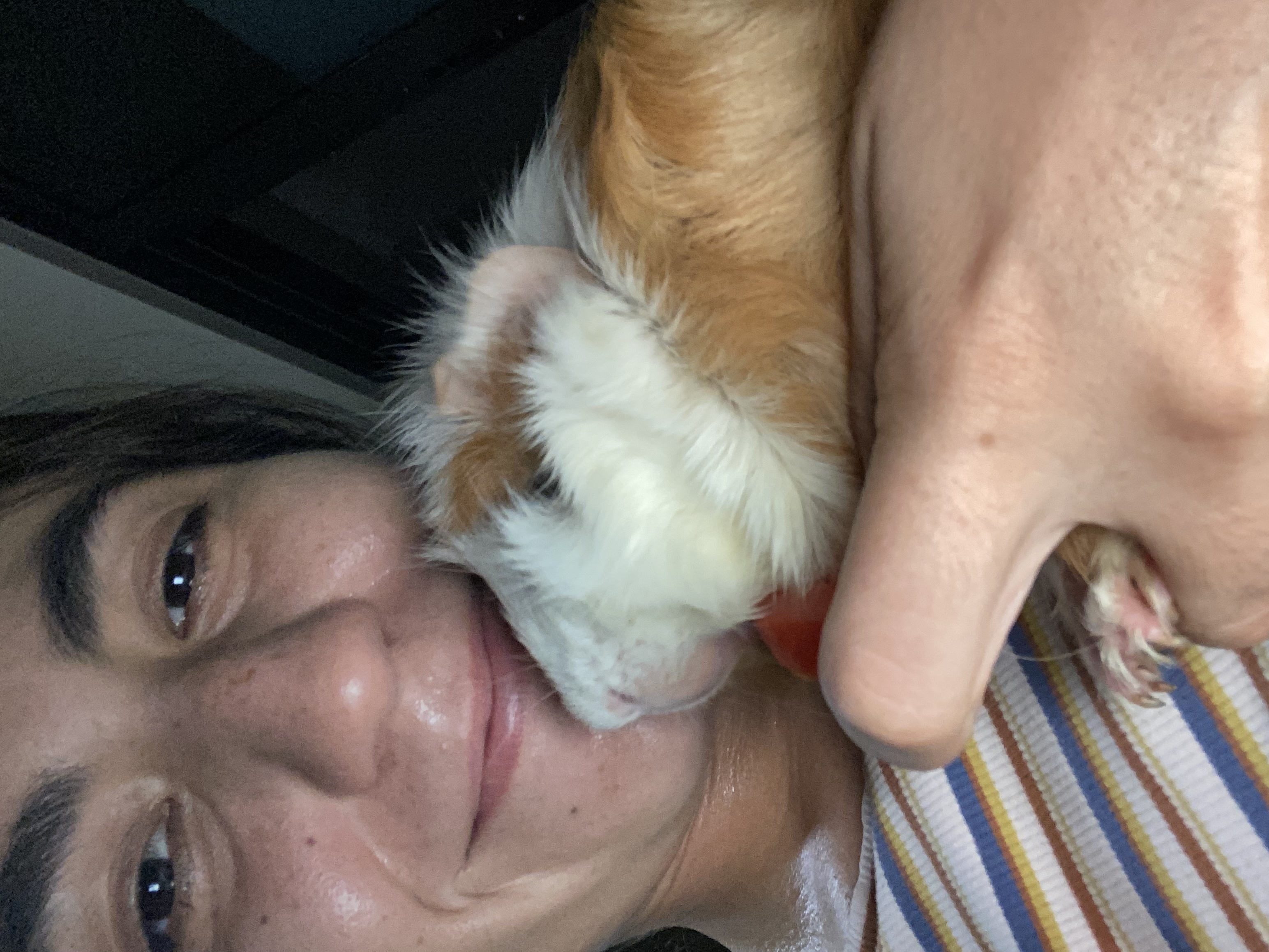 image-6