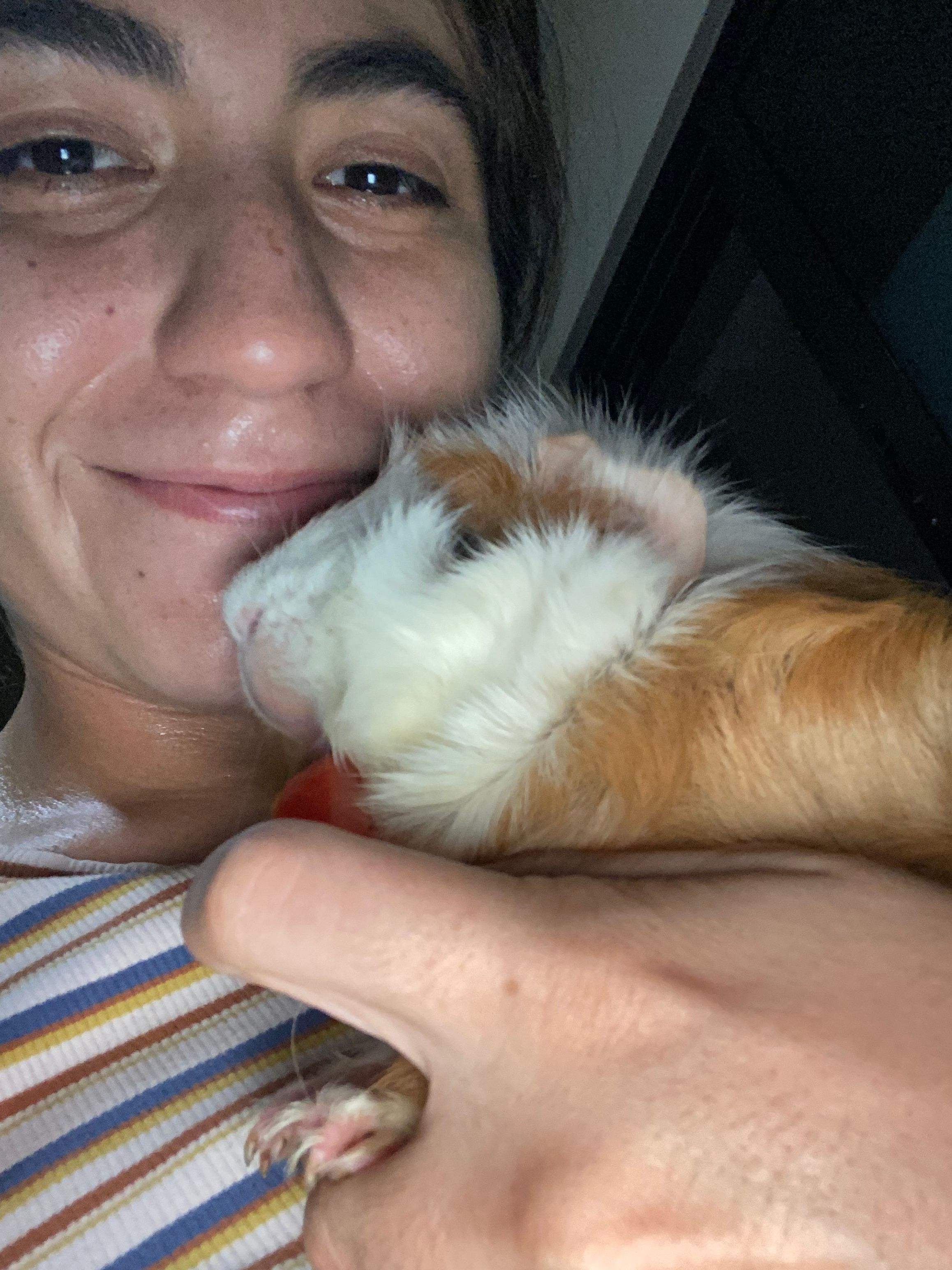 image-6
