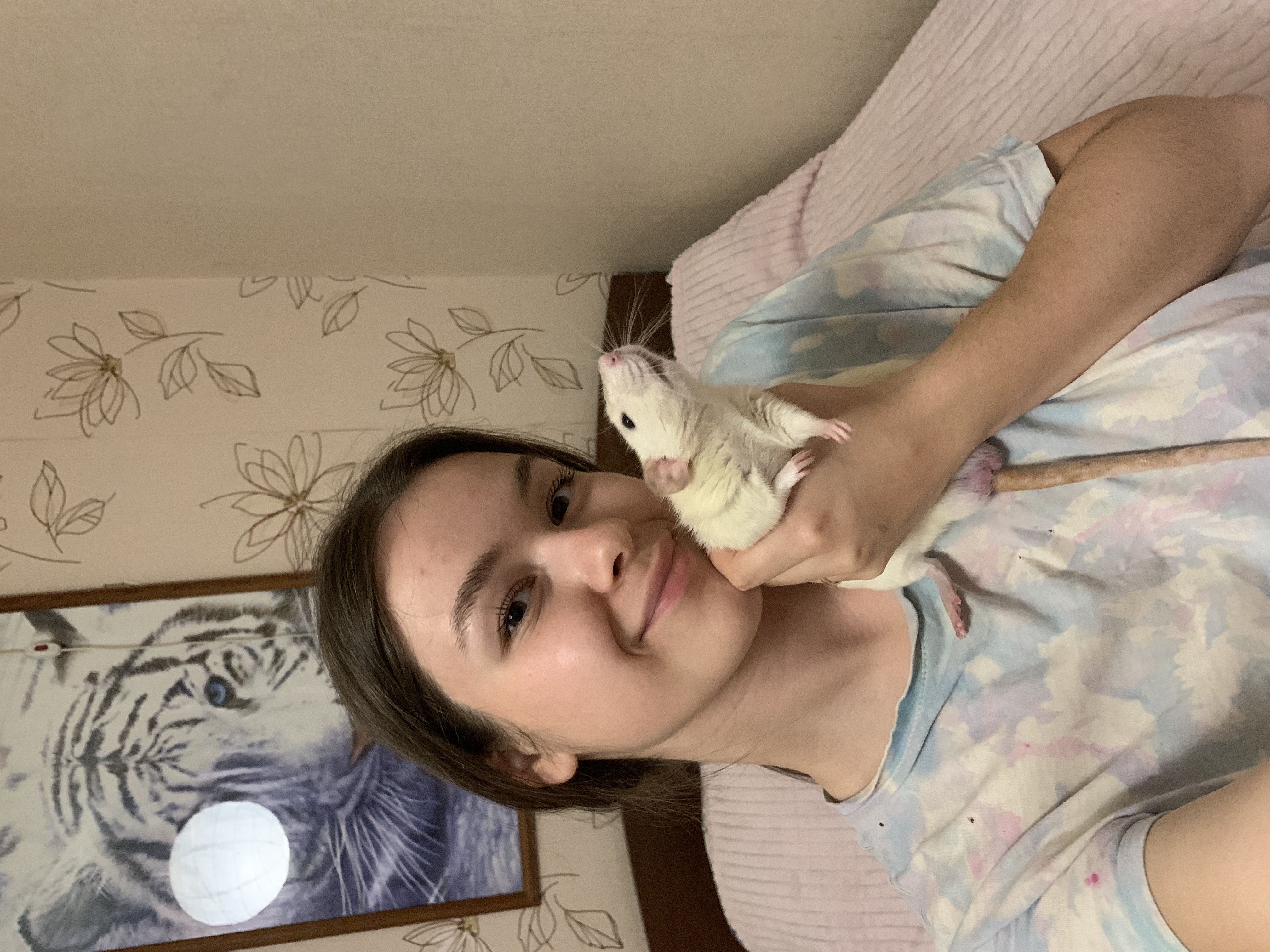image-23