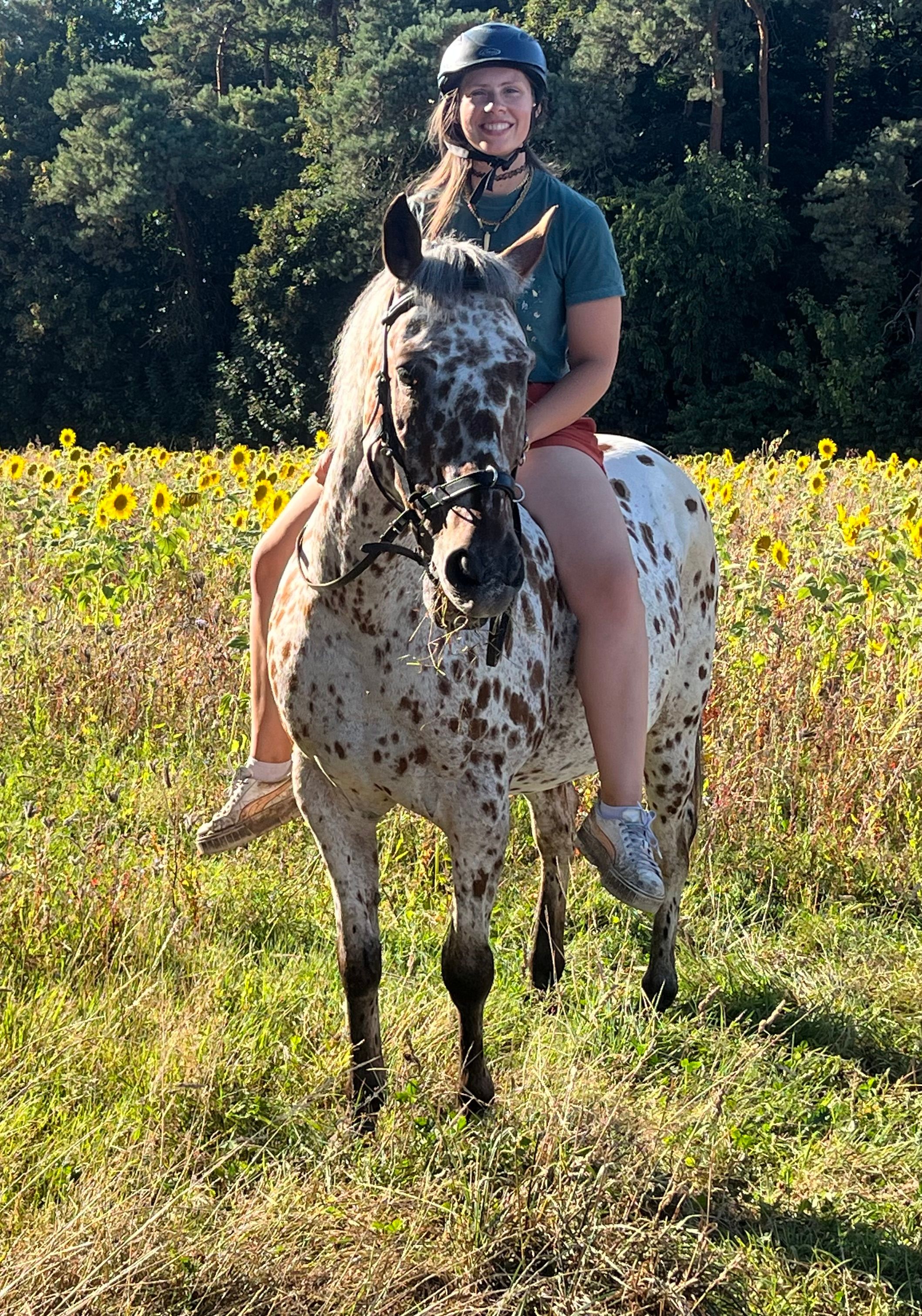 image-13