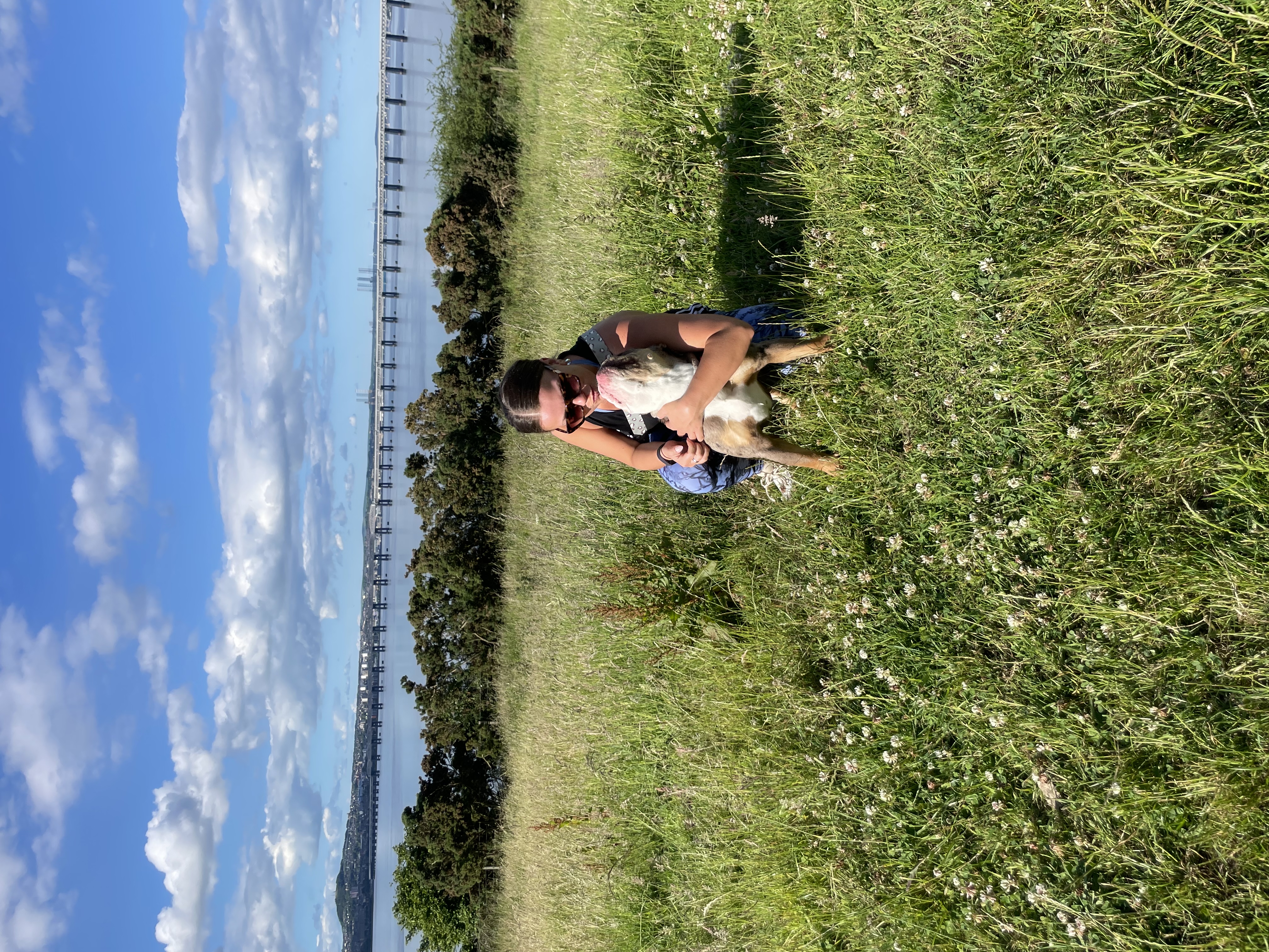image-4