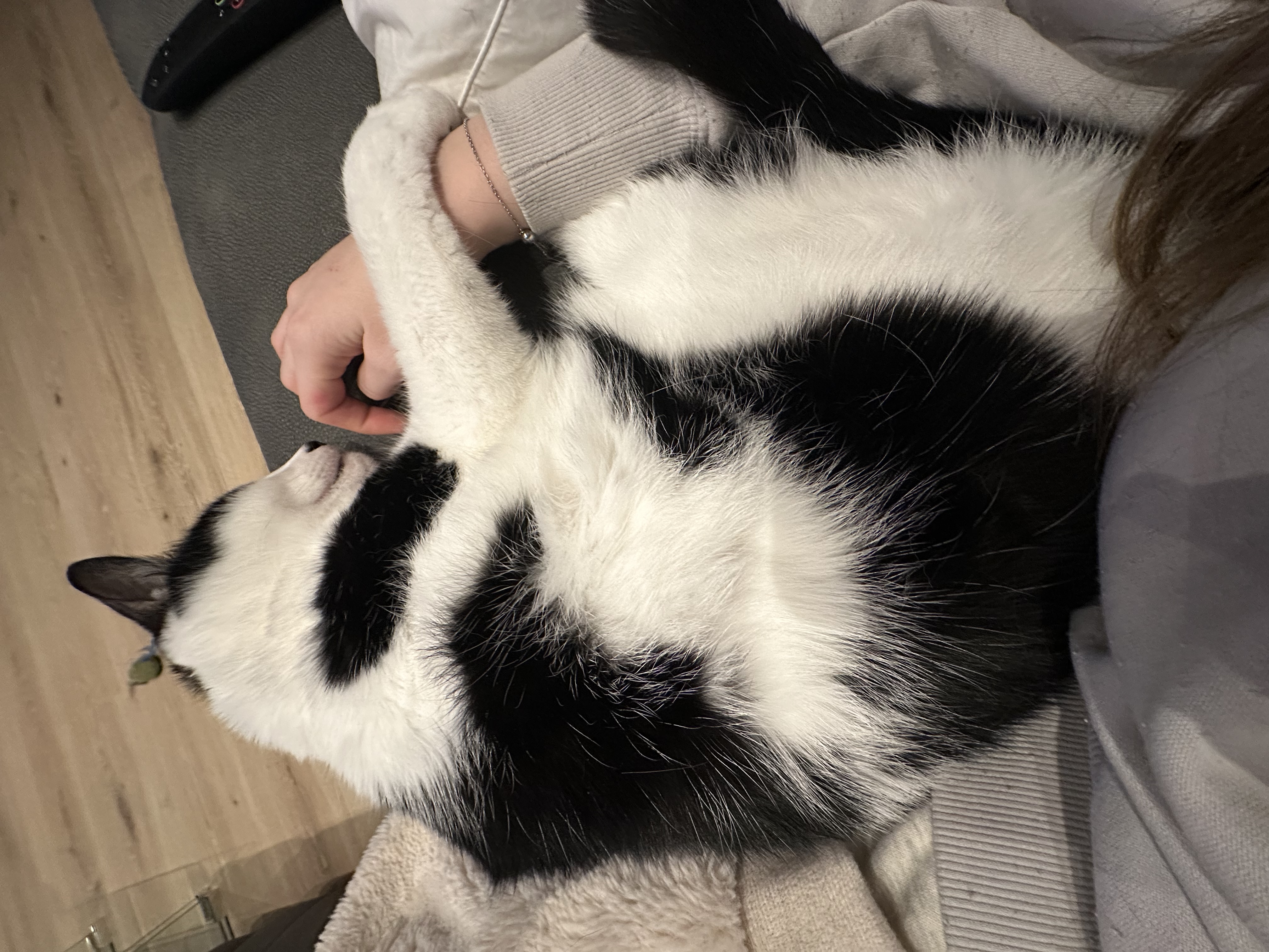 image-12