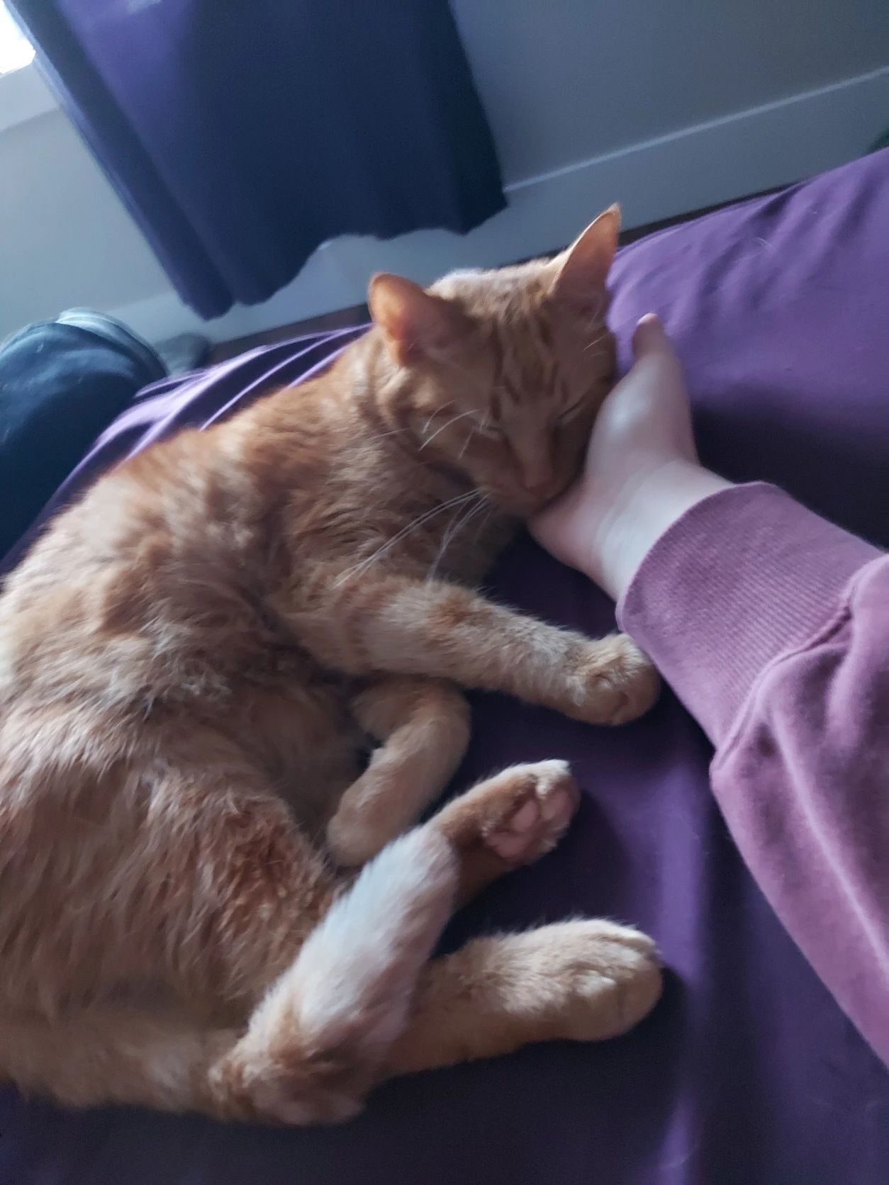 image-4