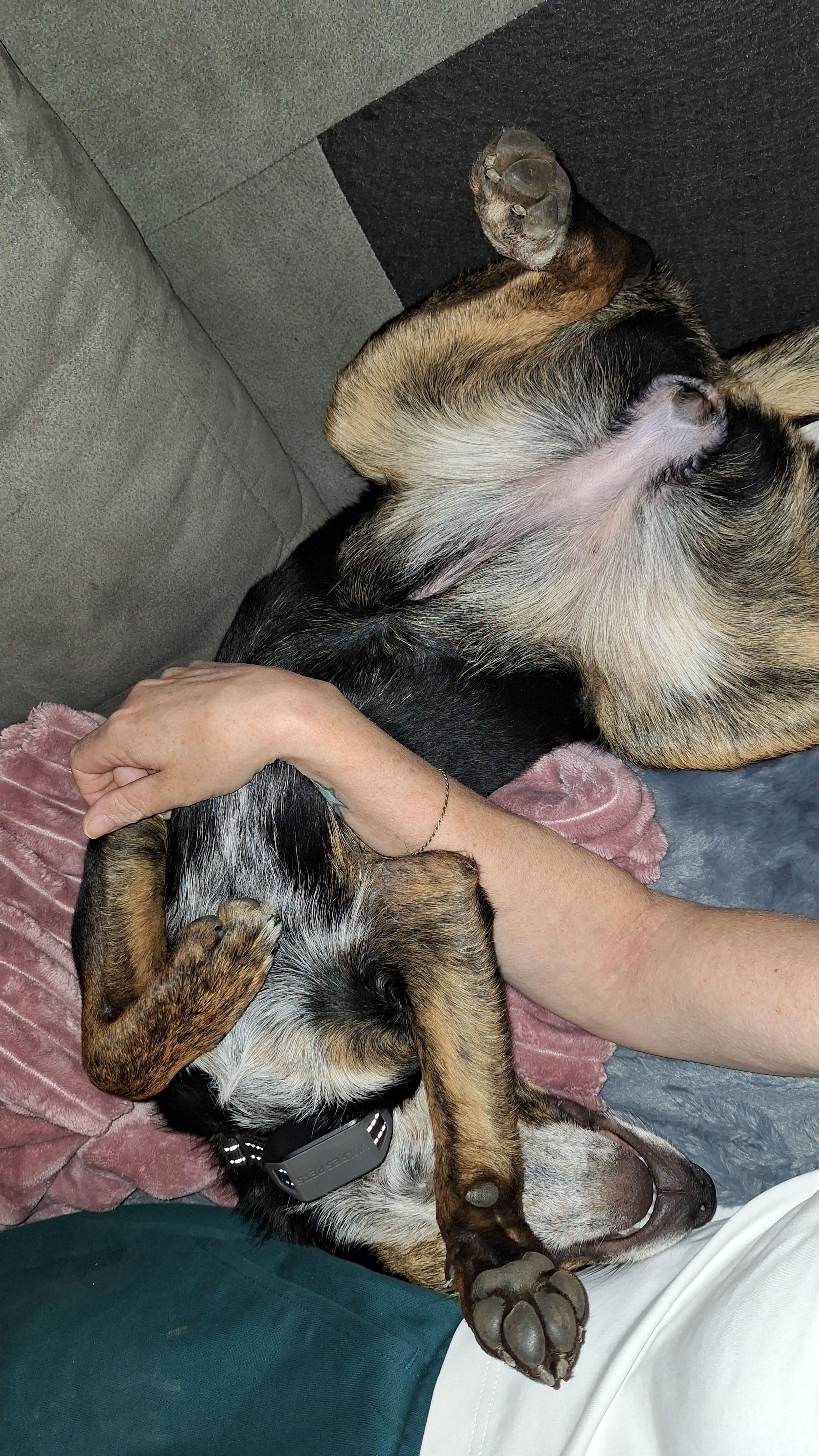 image-9