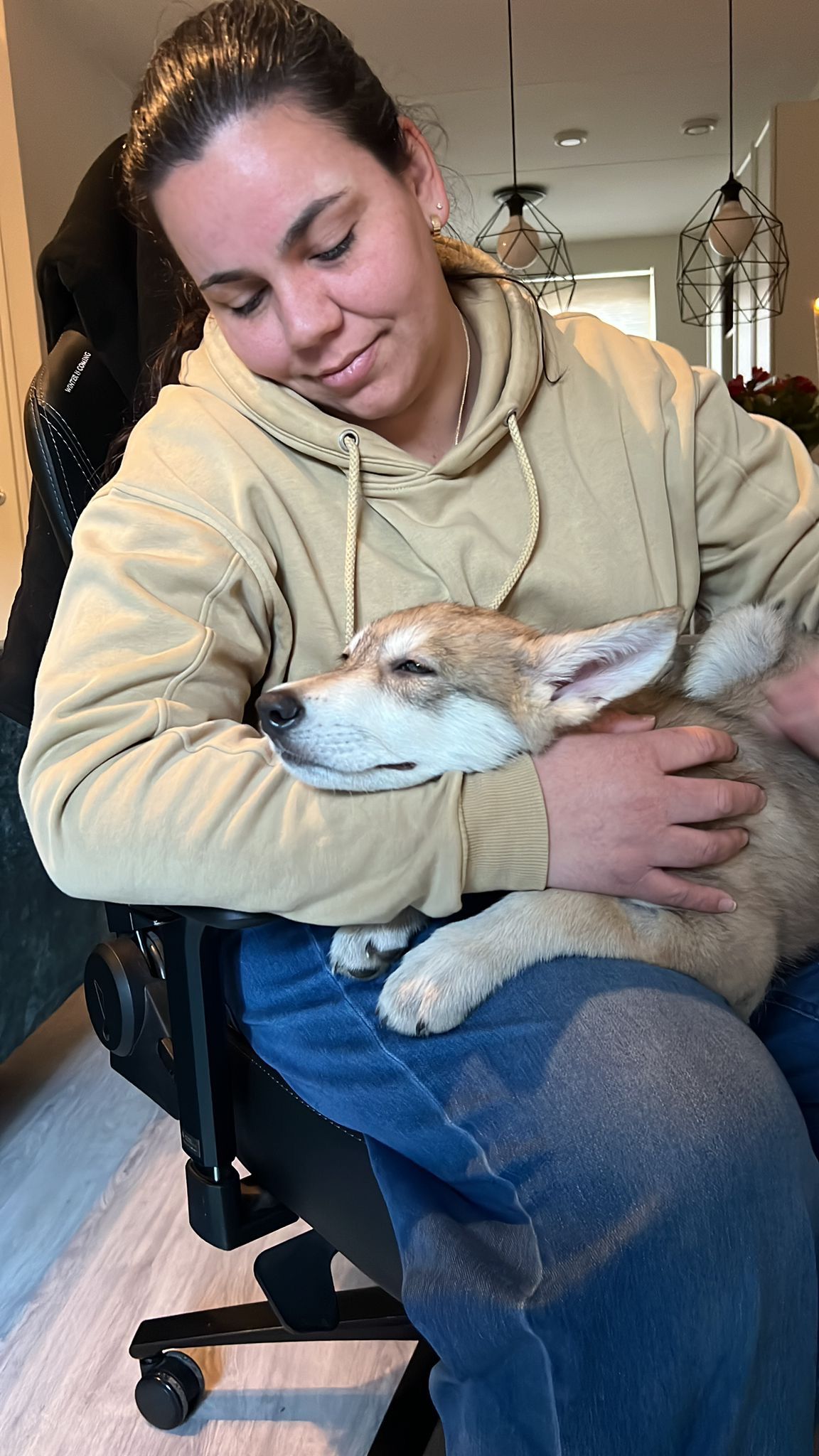 image-11
