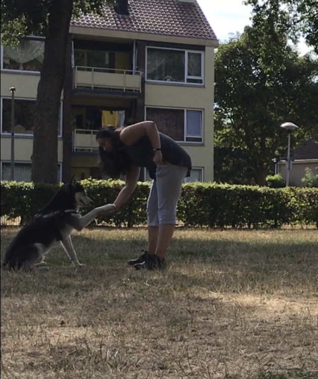 image-7
