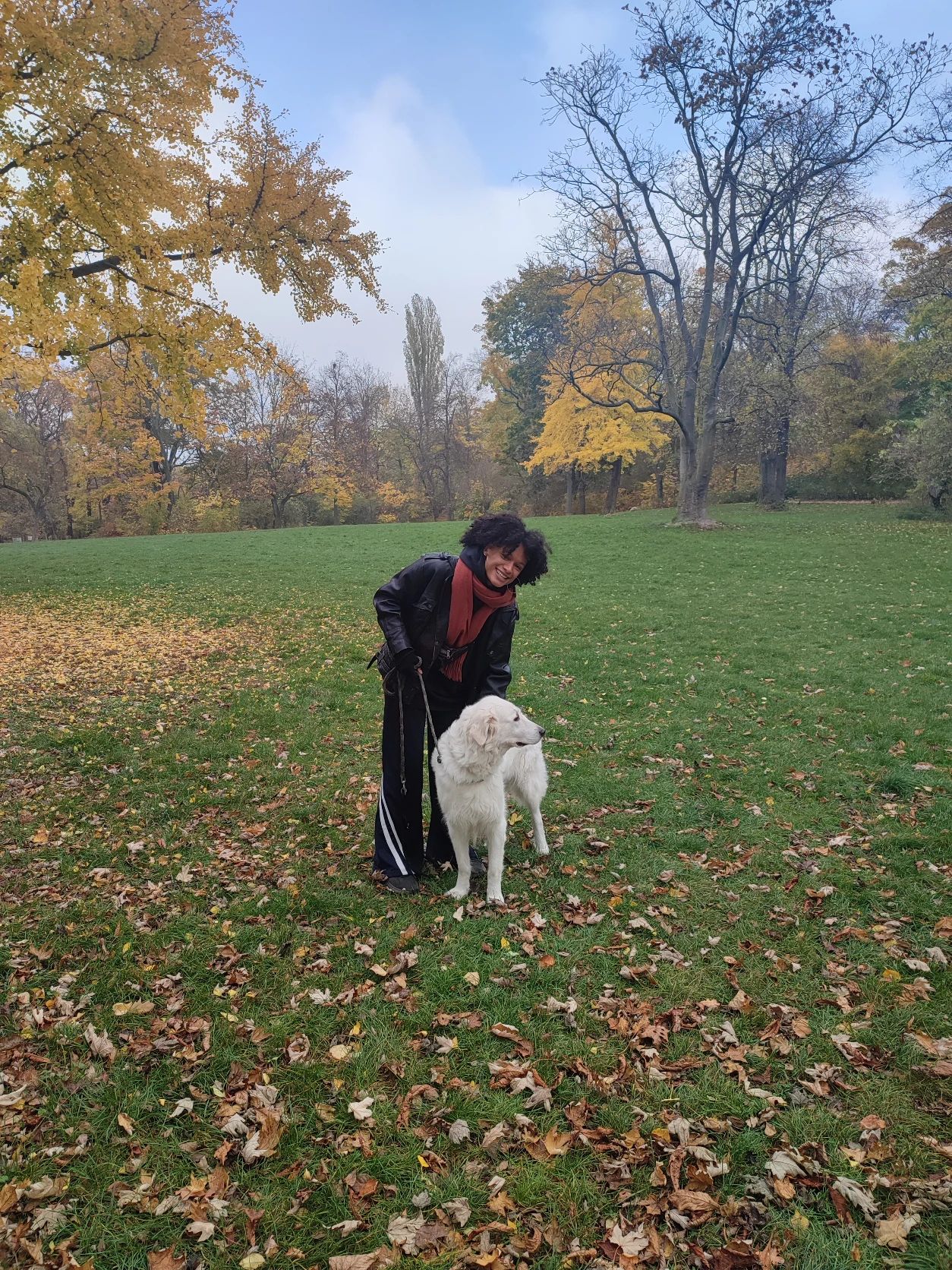image-23