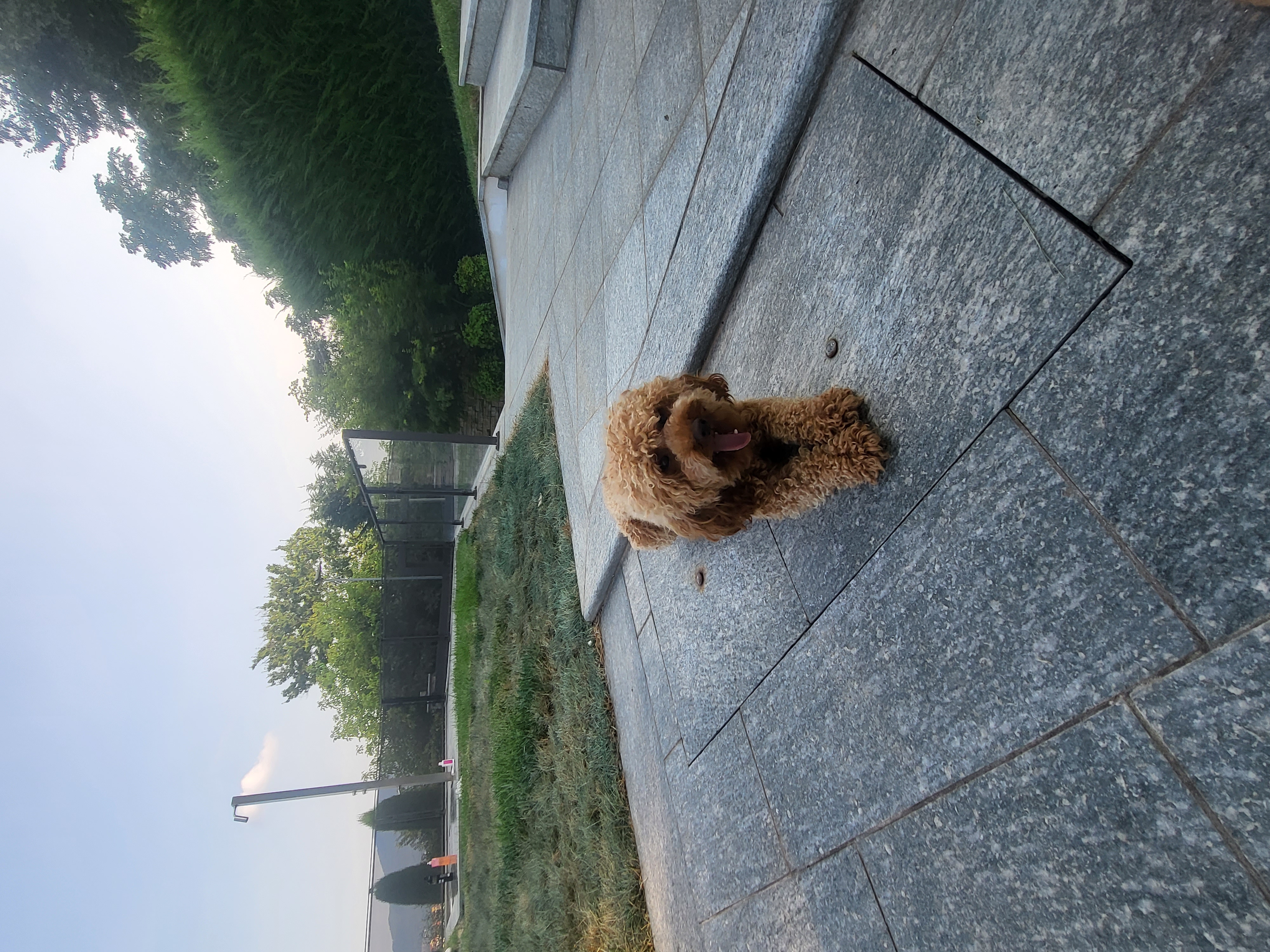 image-11