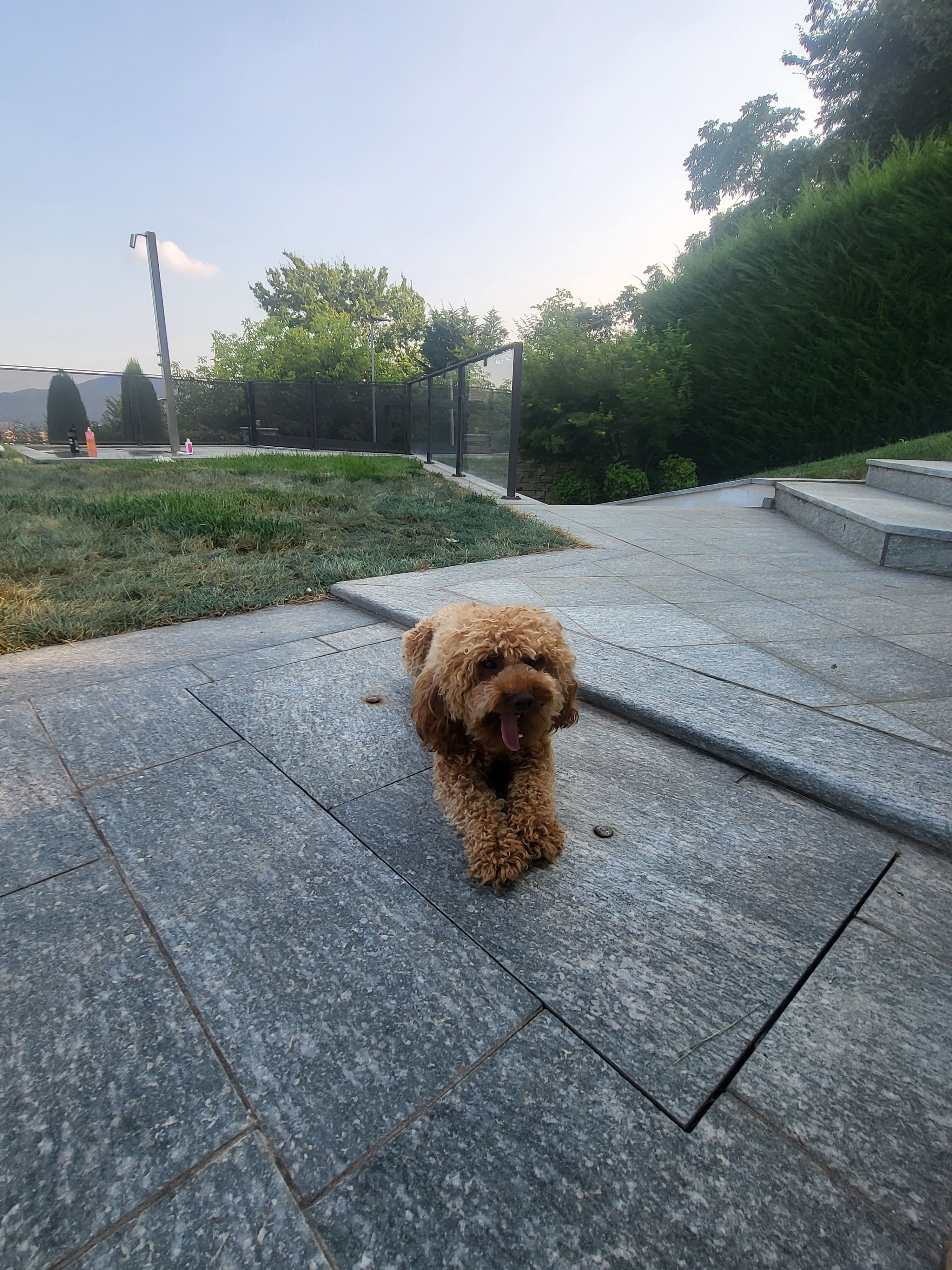 image-11