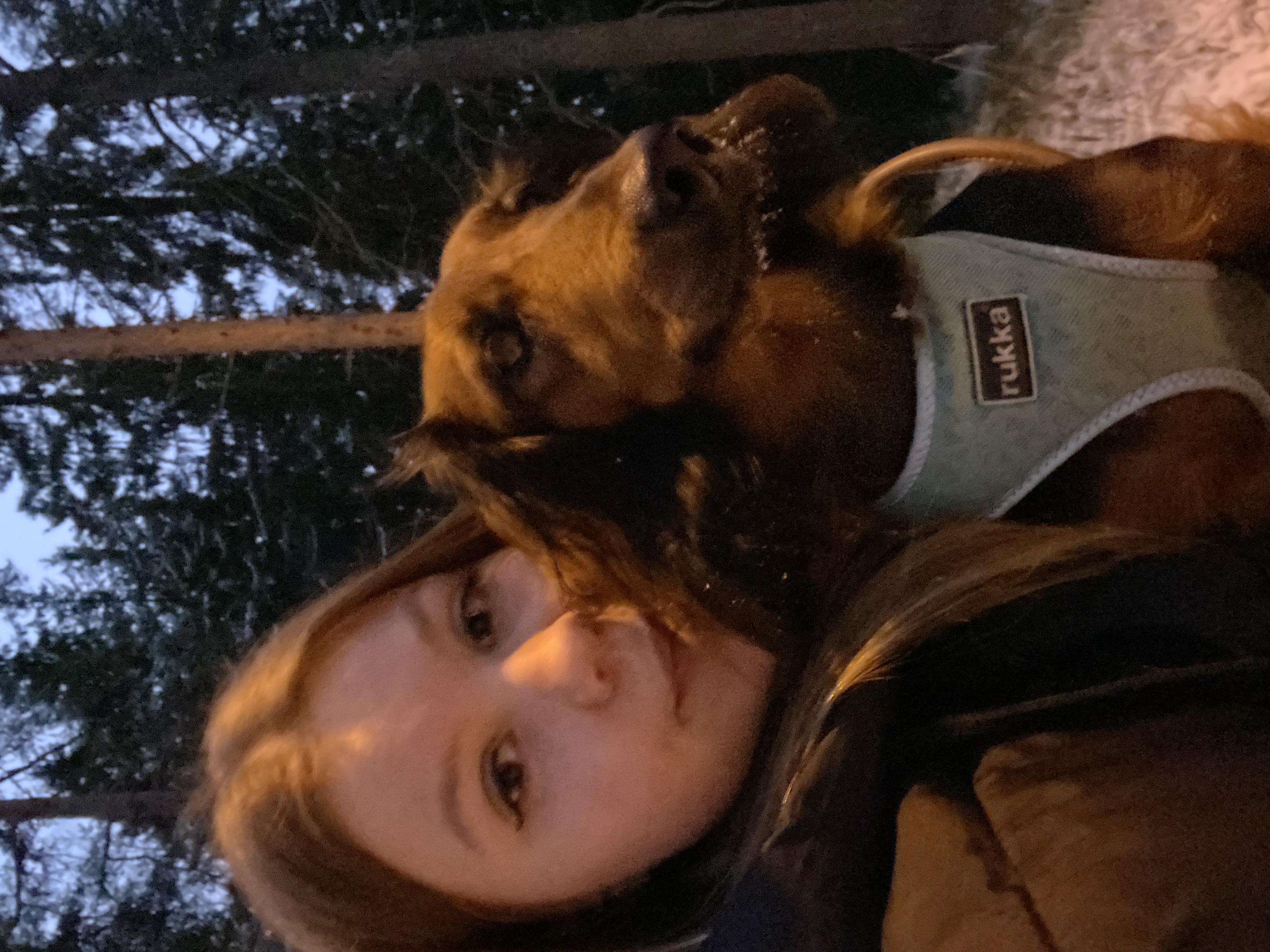 image-8