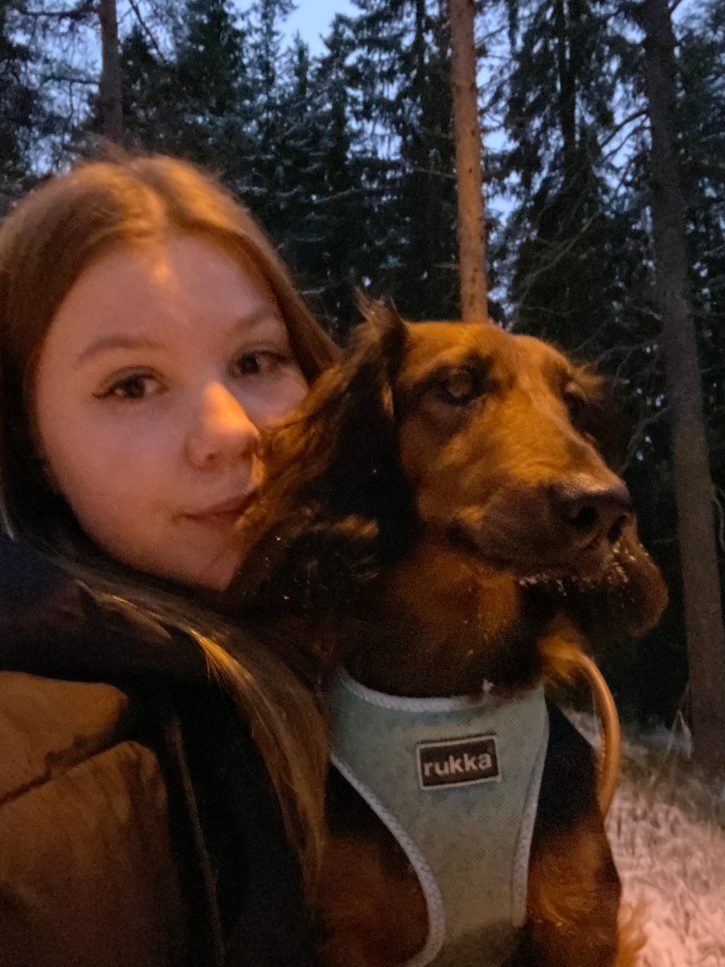 image-8