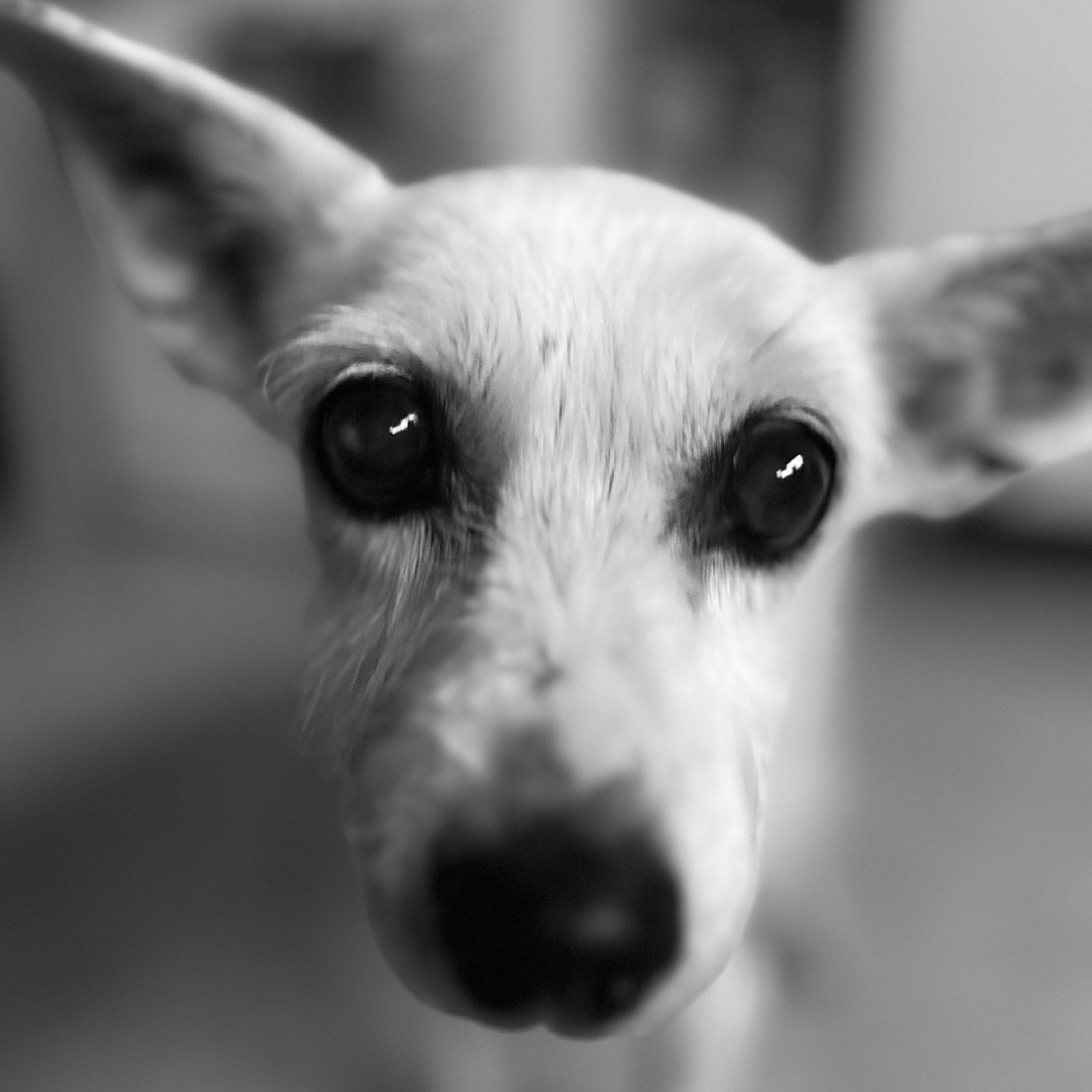 Sam