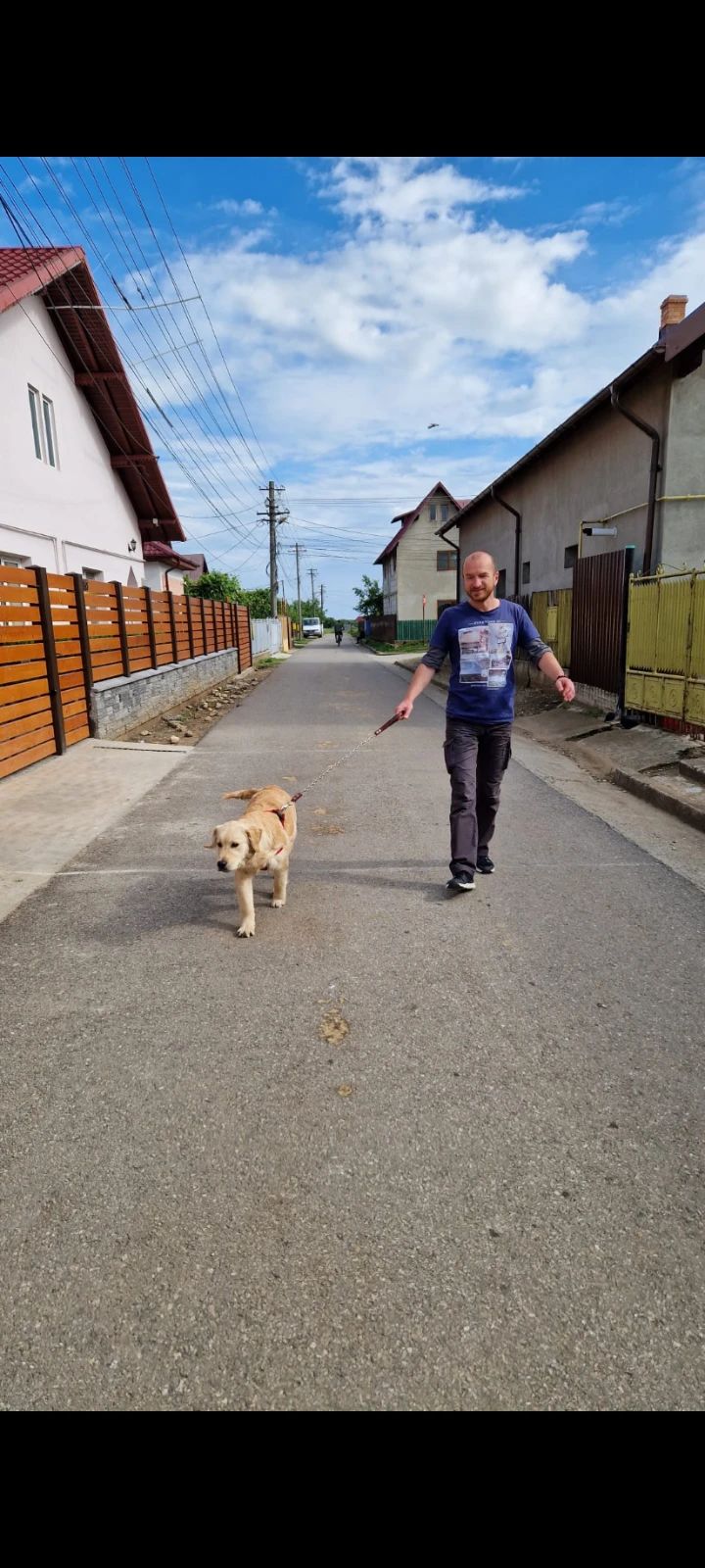 image-27