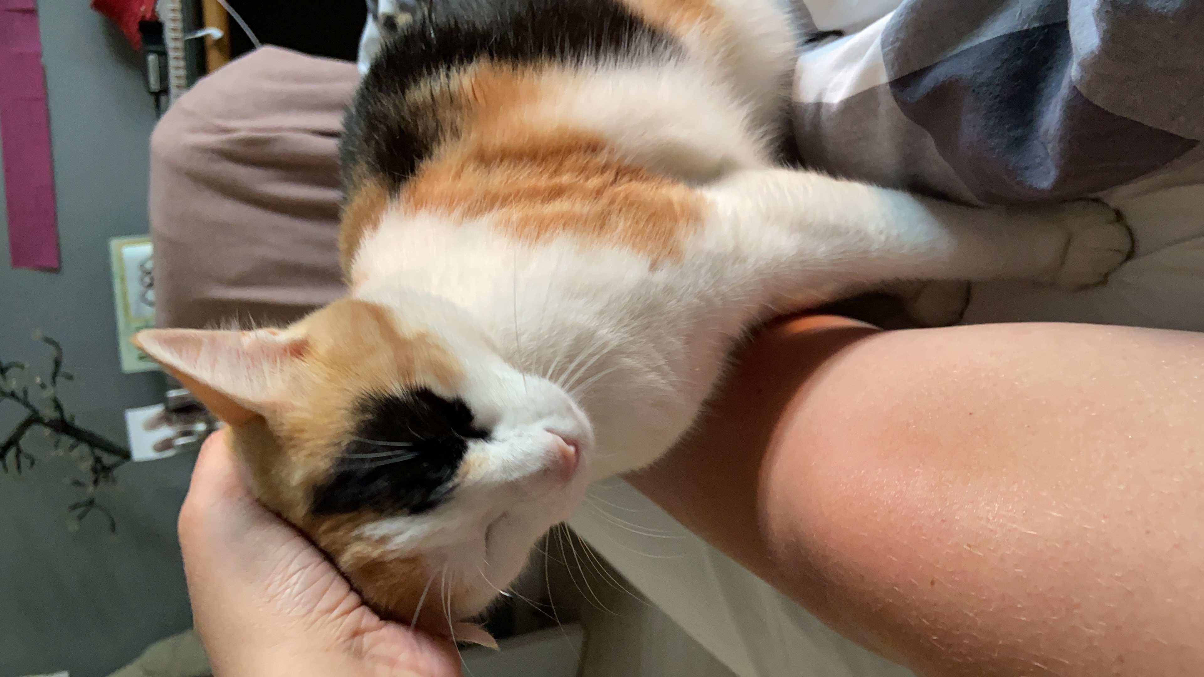 image-6
