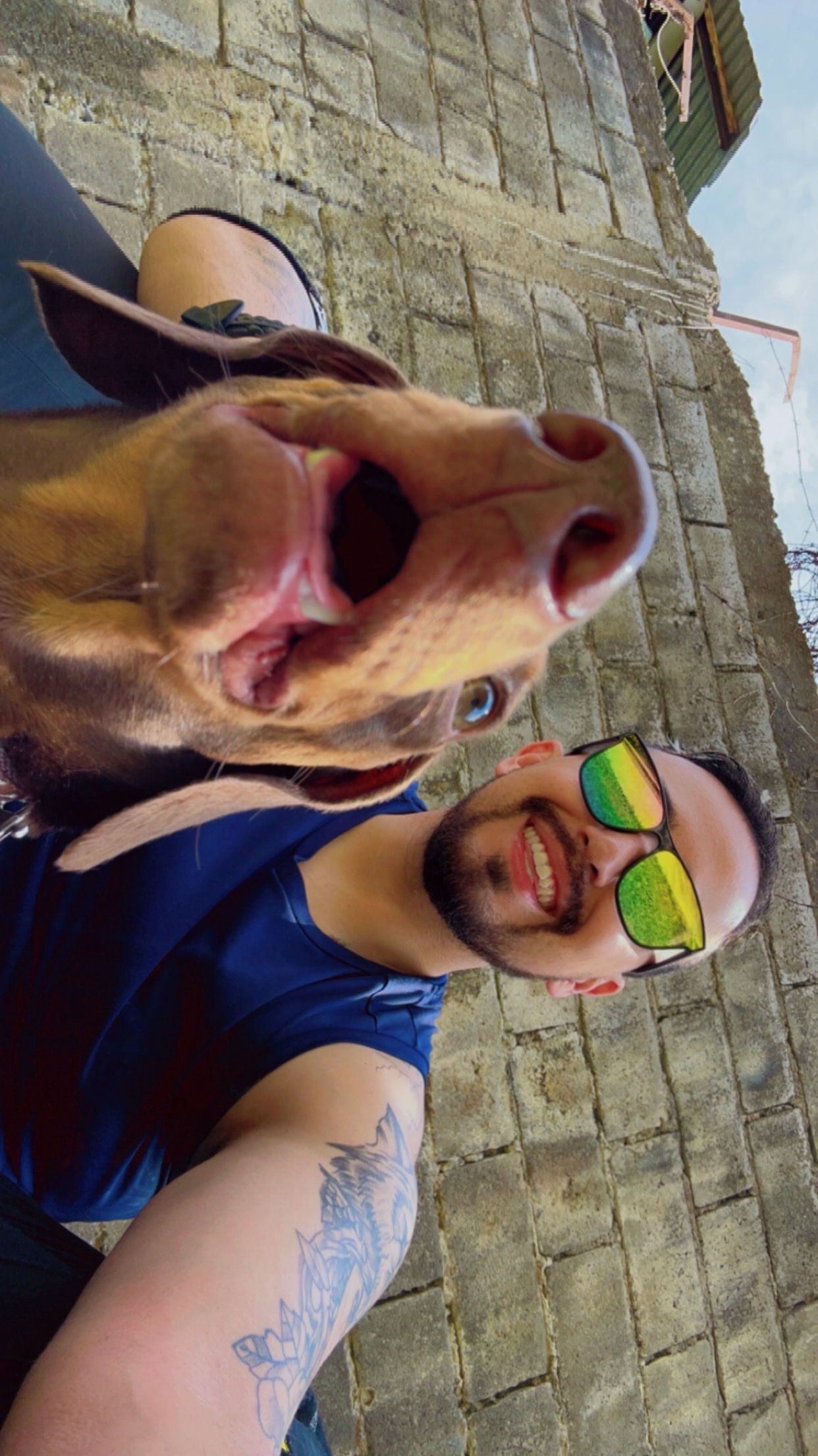 image-7