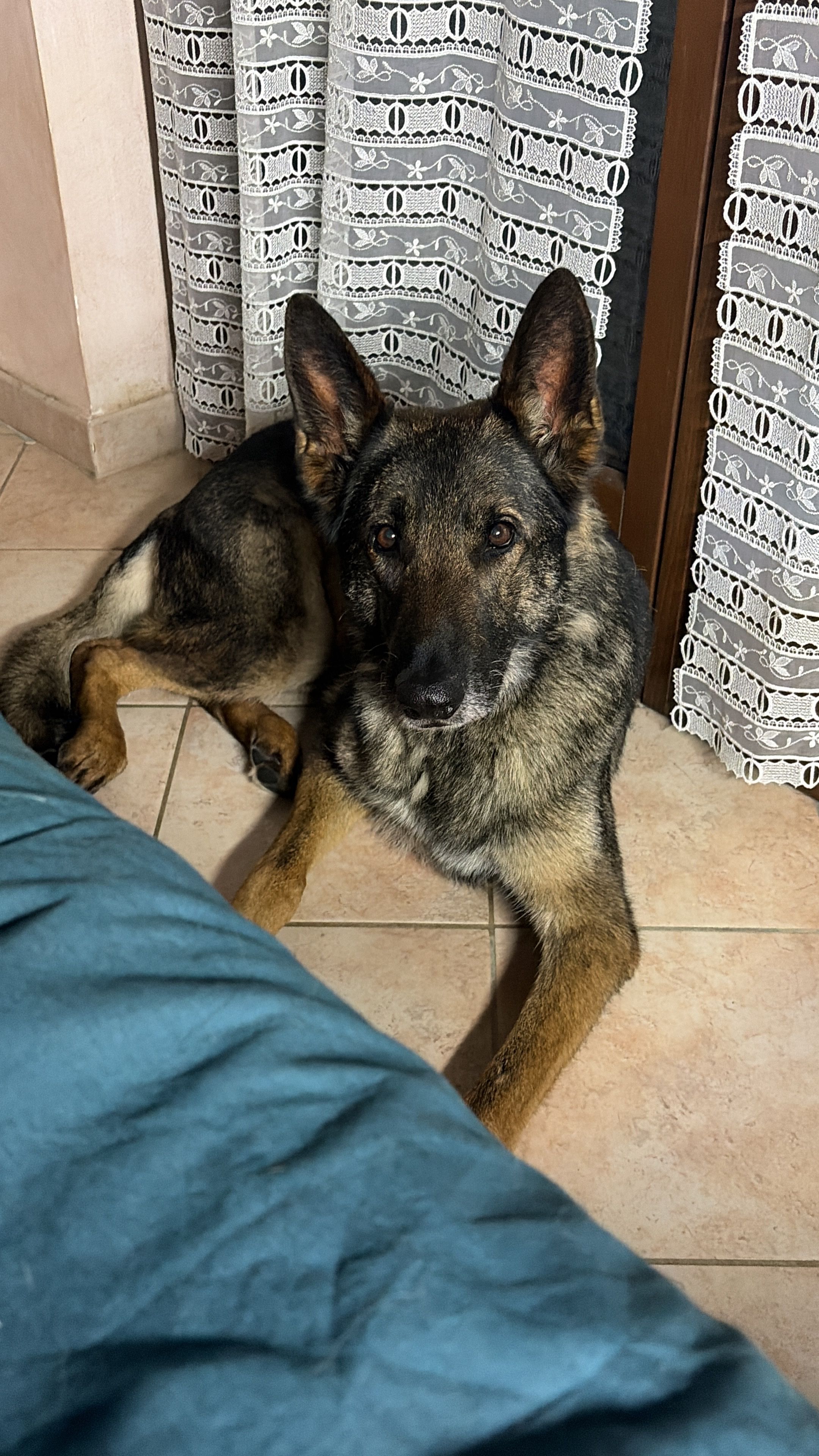 image-7