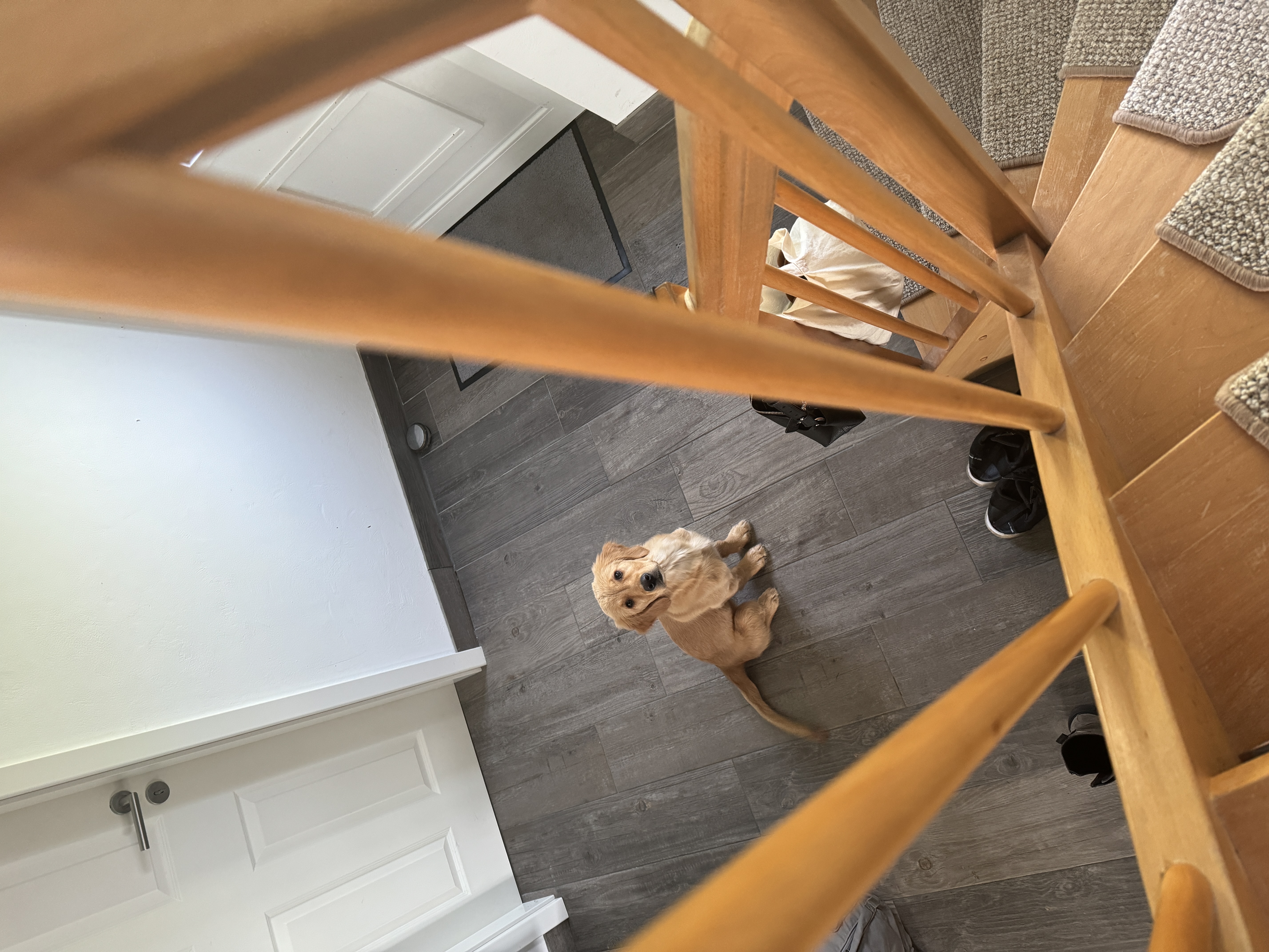 image-9