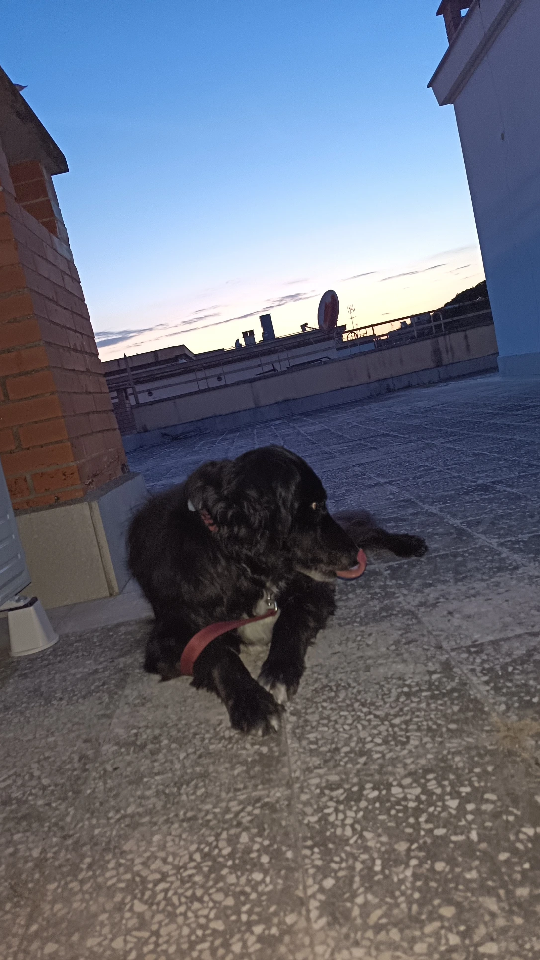 image-16