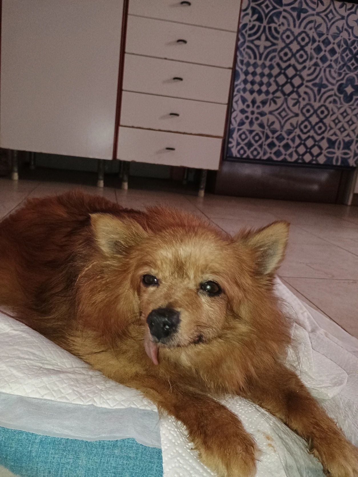 image-20