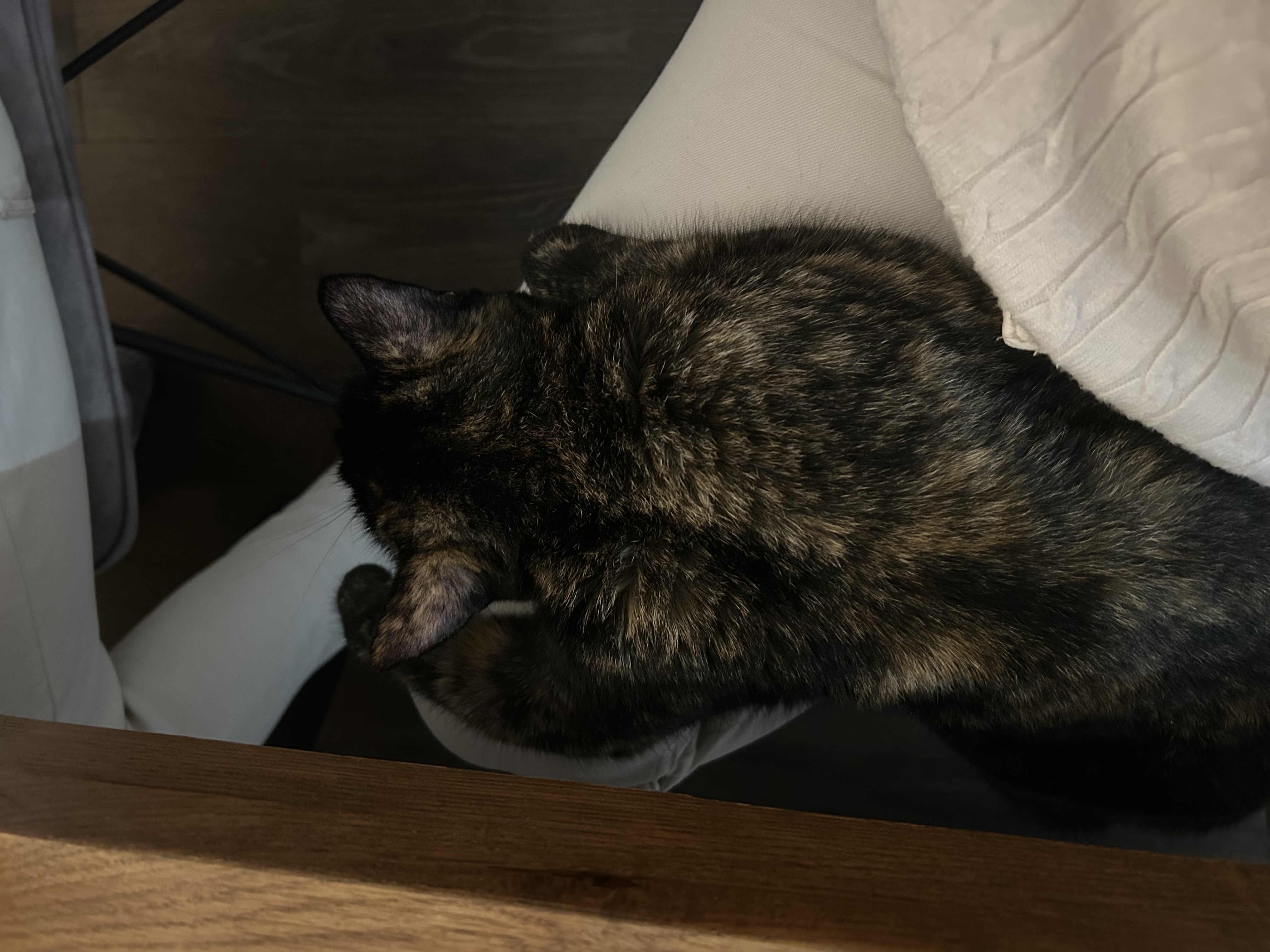 image-11