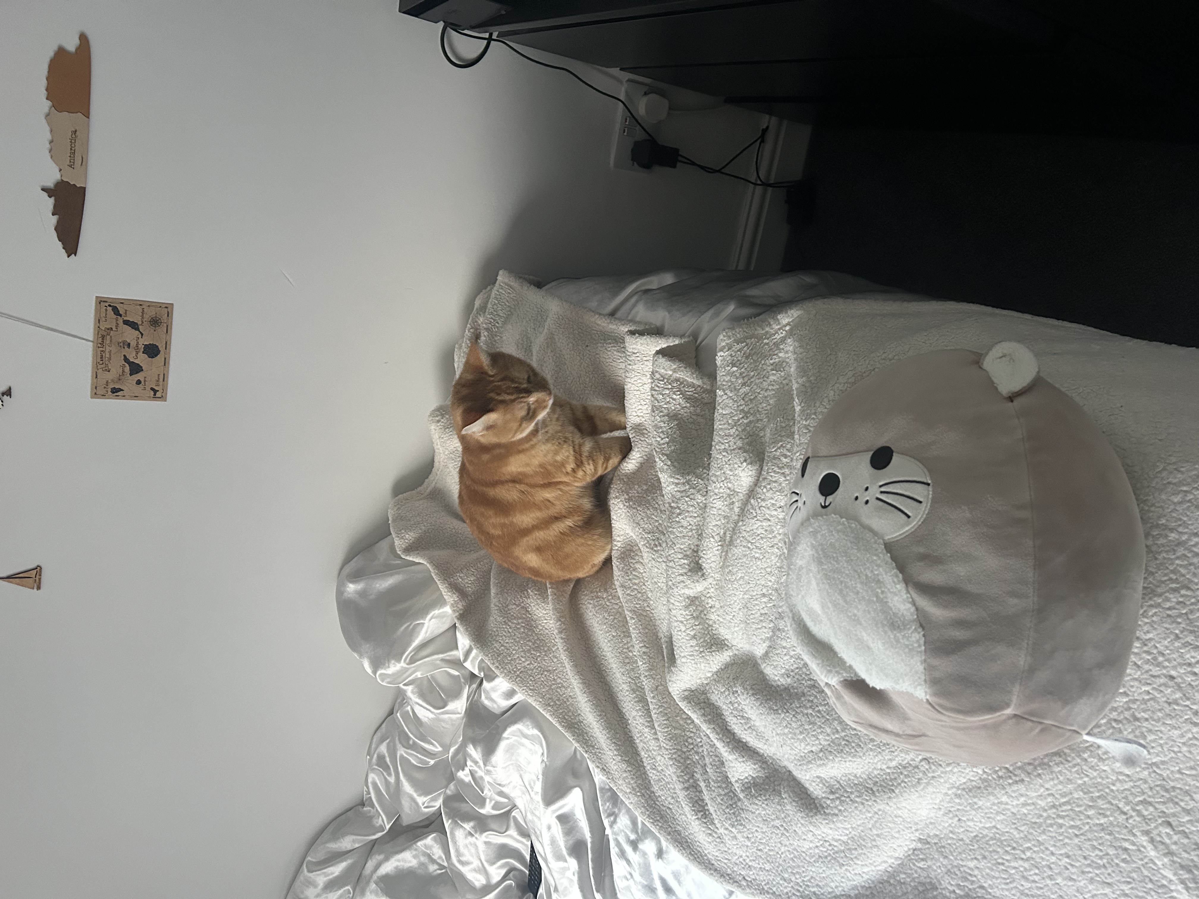 image-6