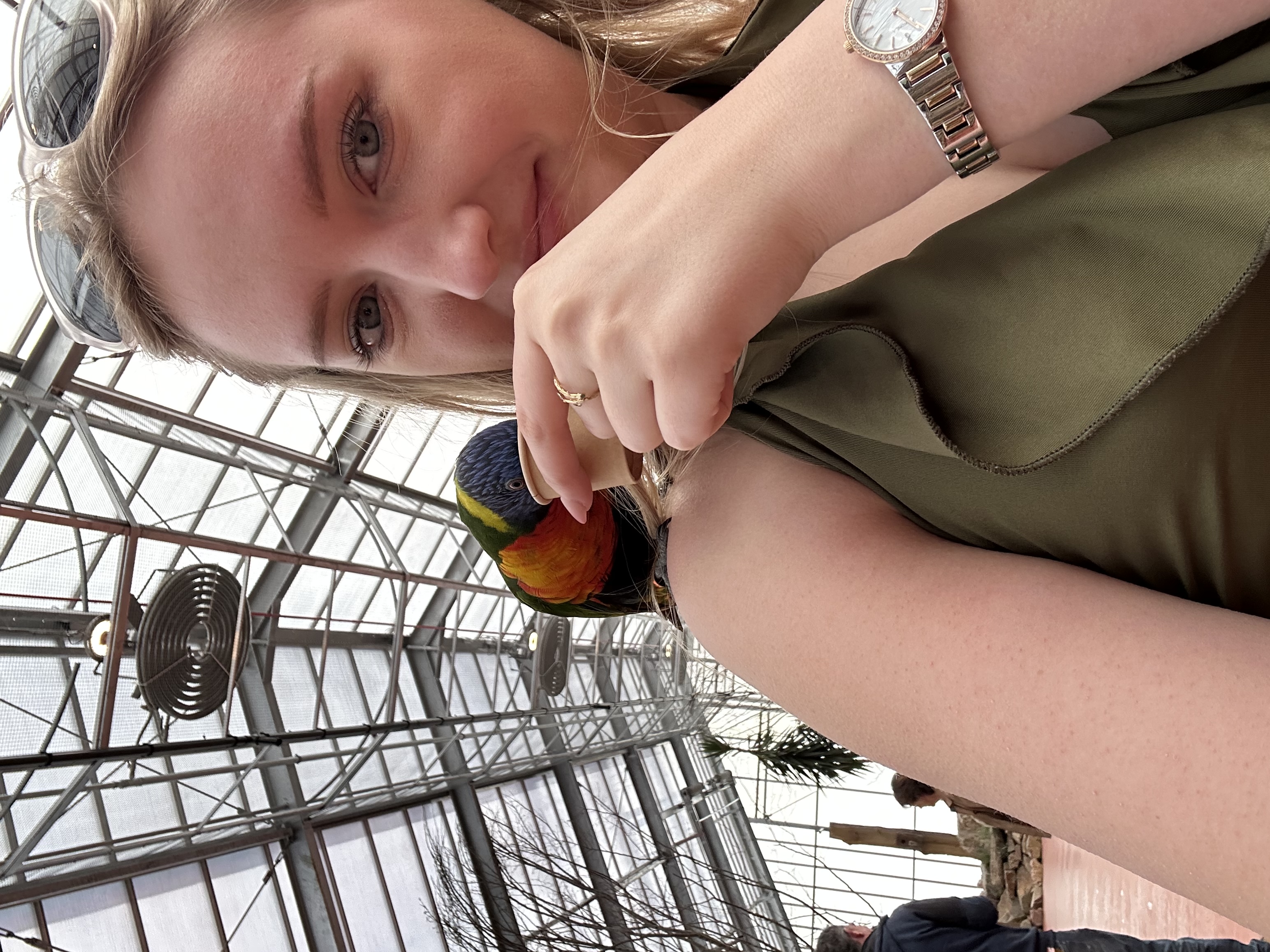 image-7