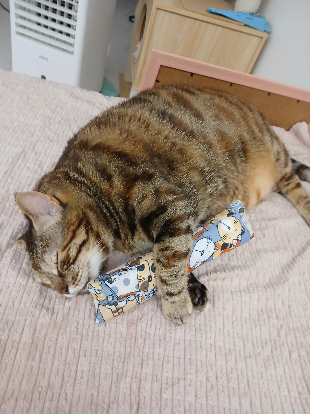 image-9
