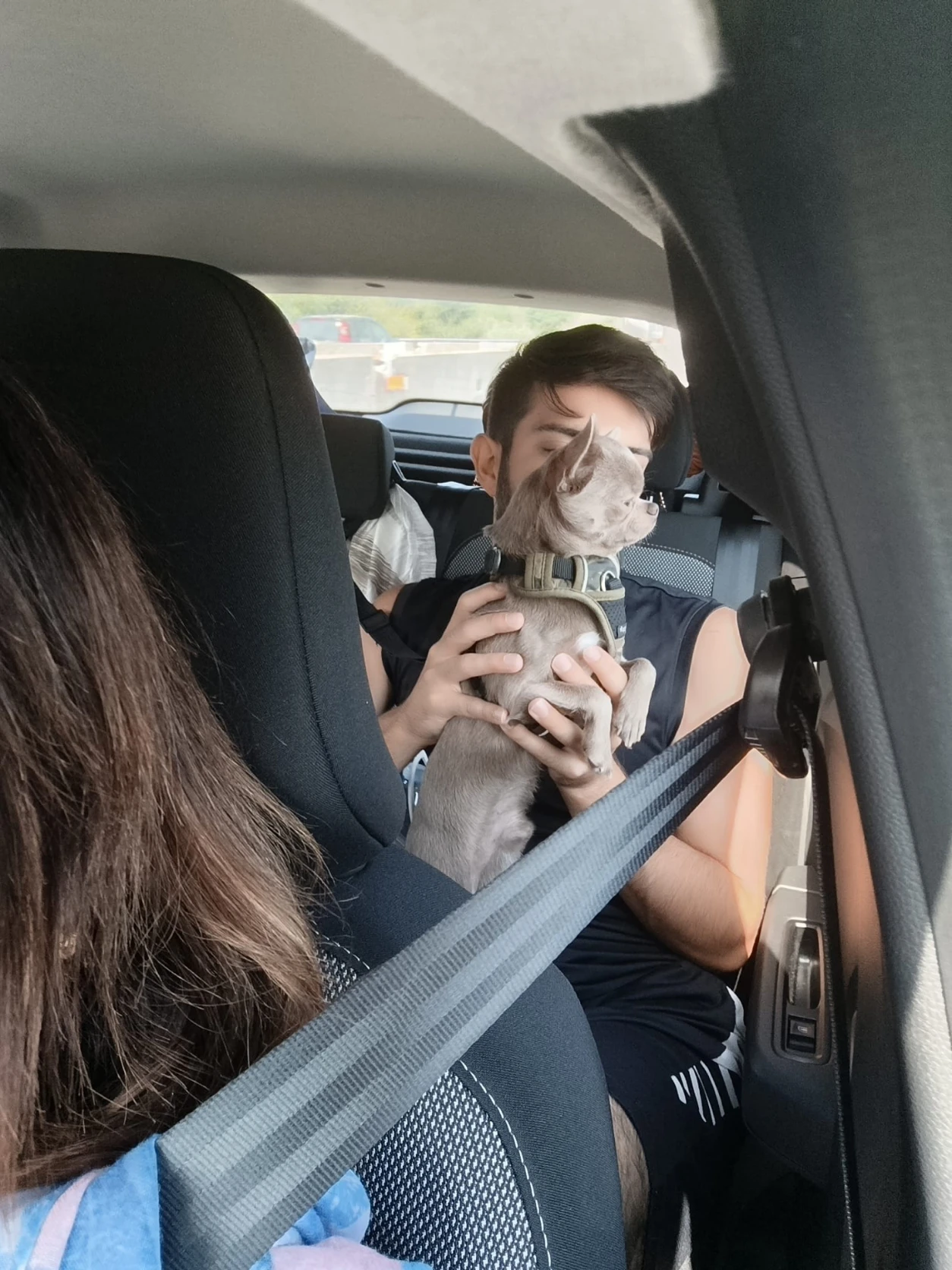 image-6