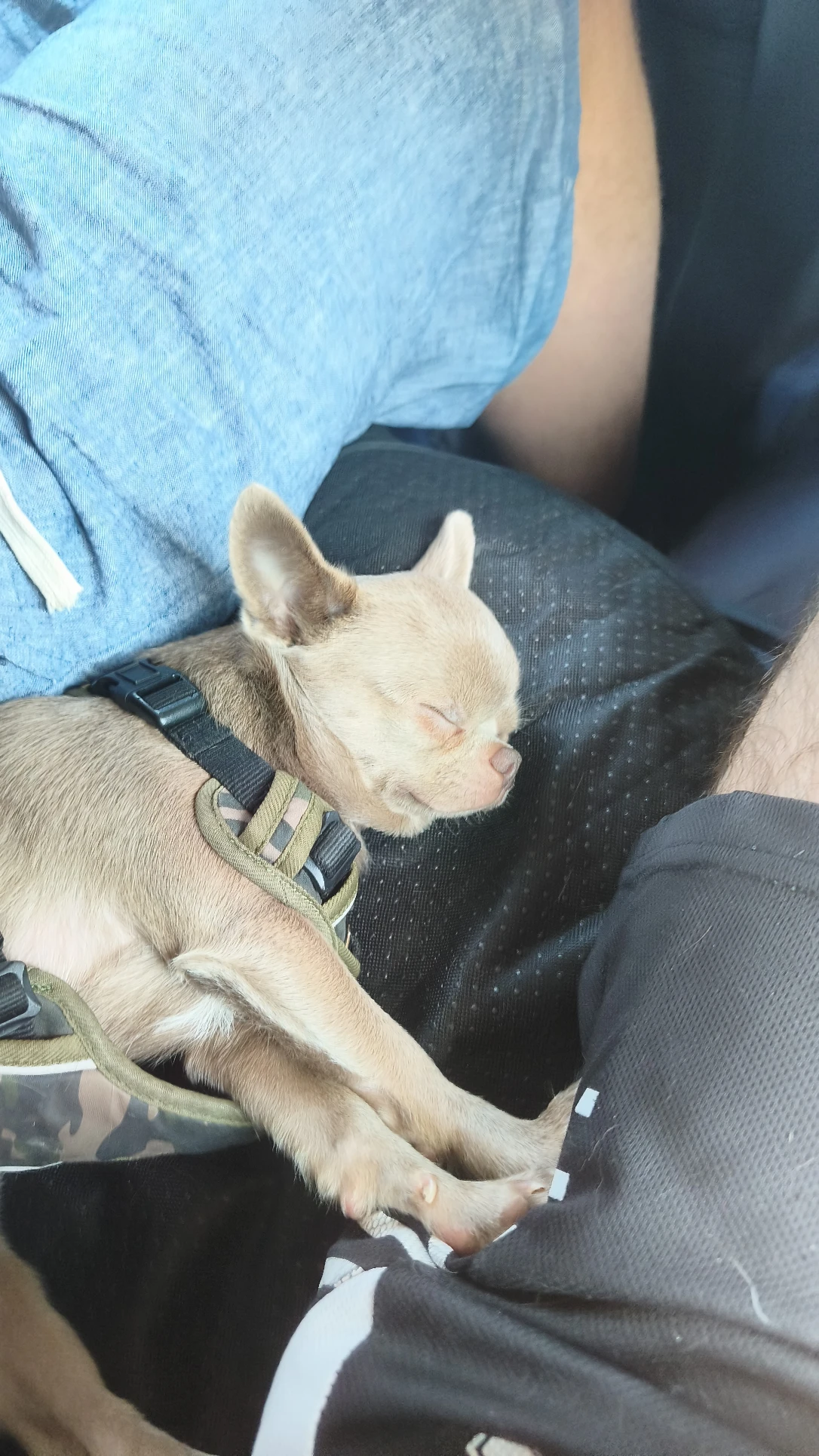 image-5