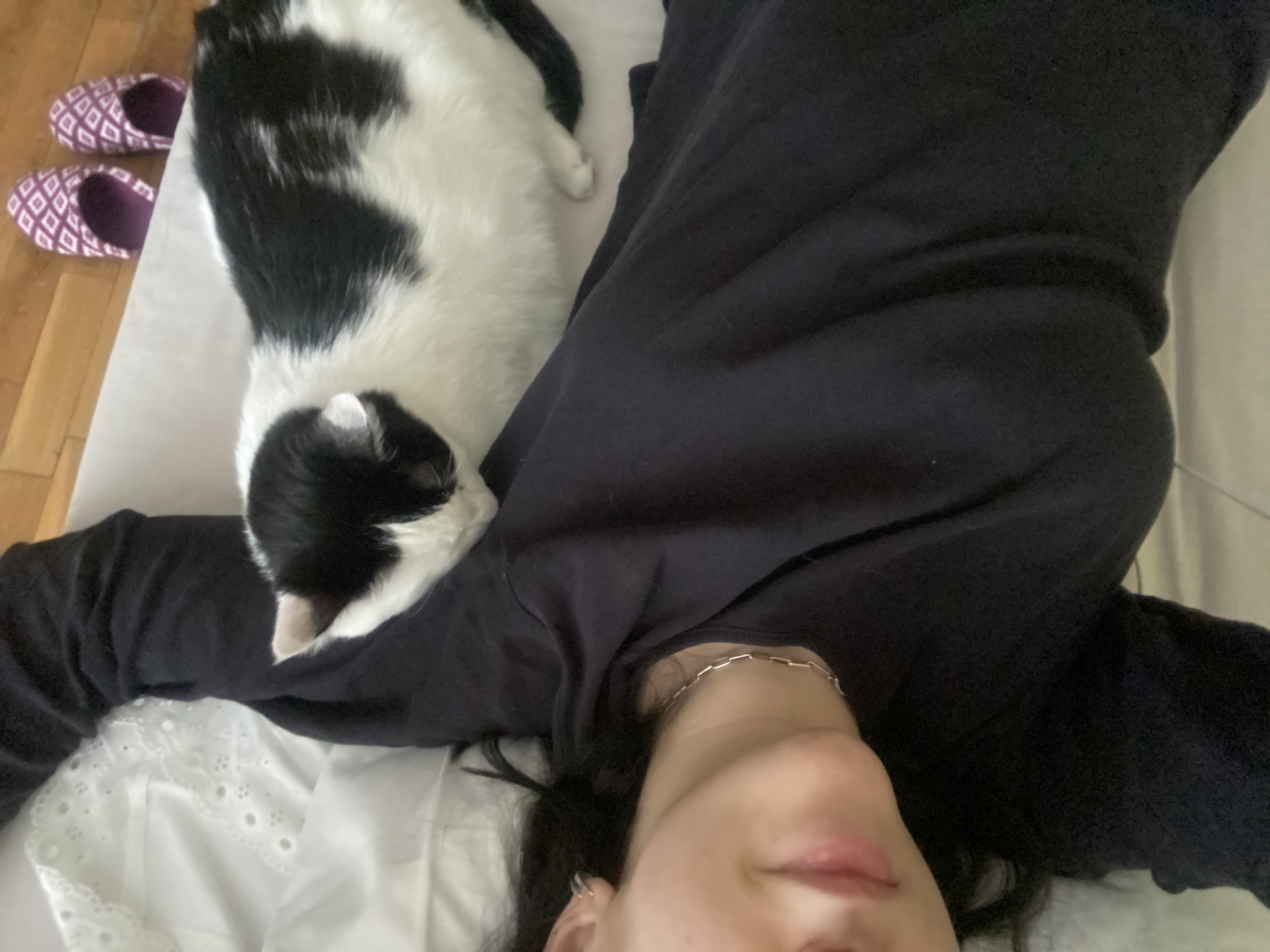 image-6