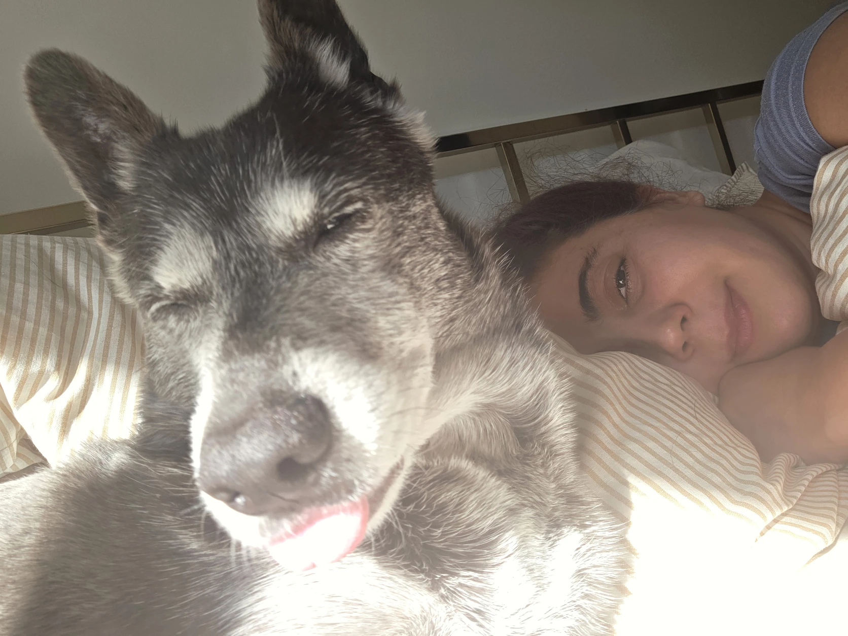 image-7