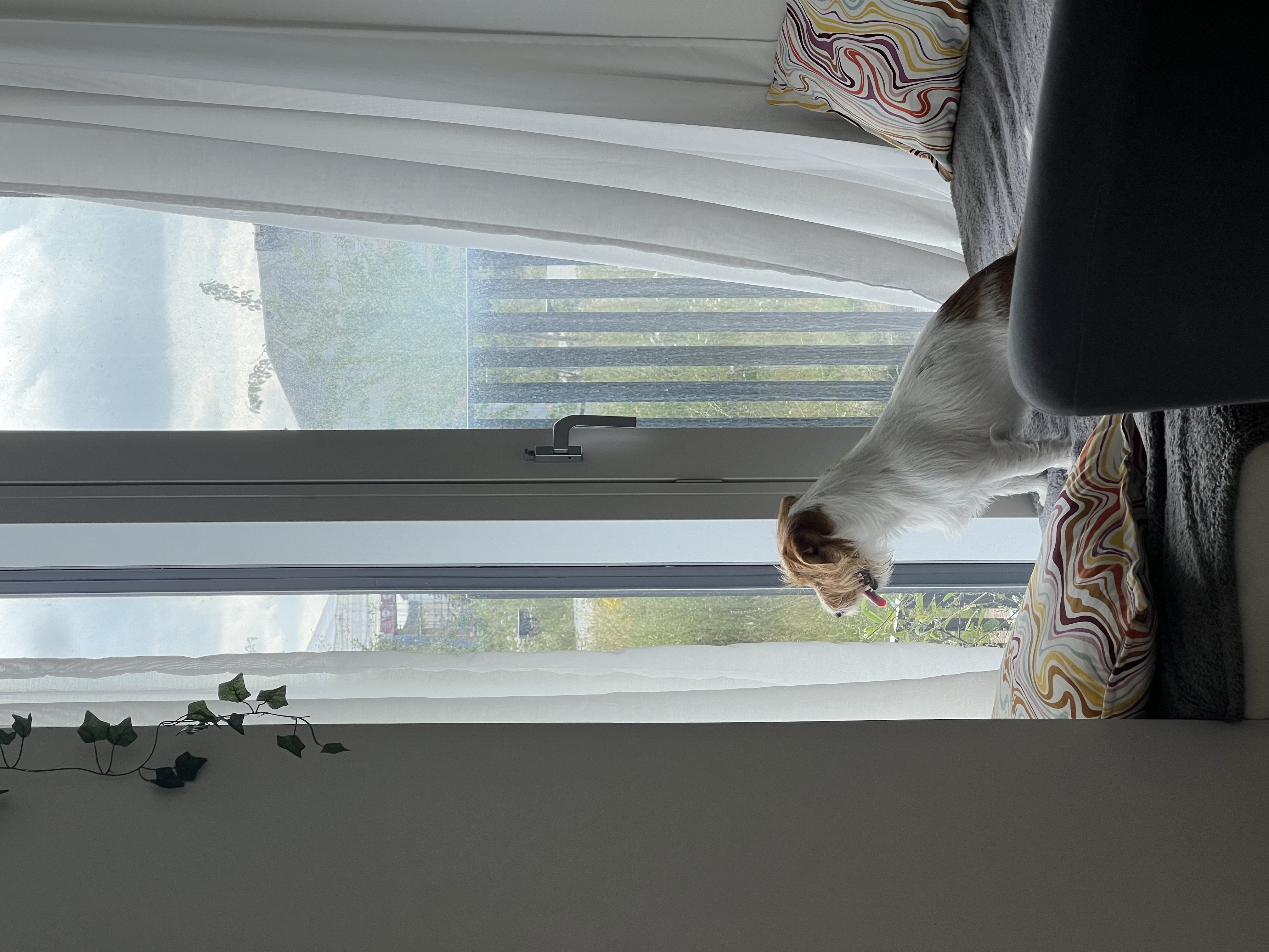 image-5