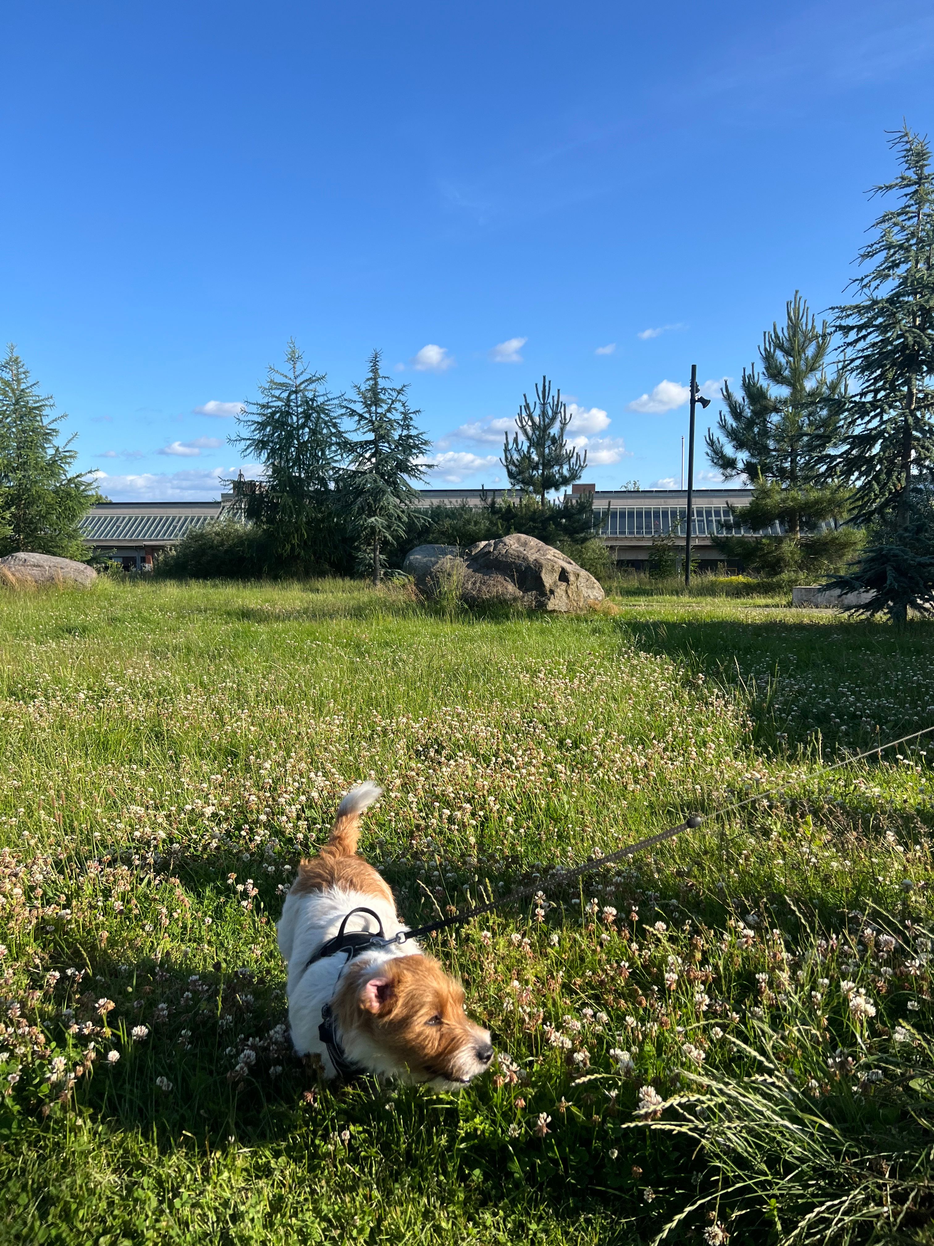image-6