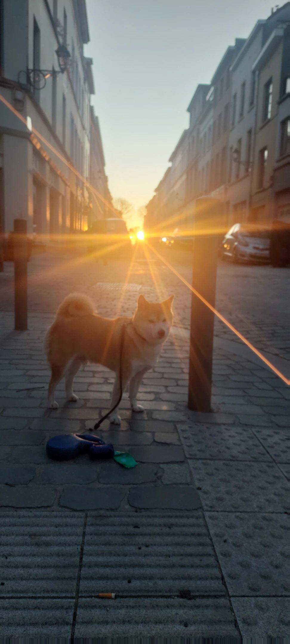 image-9