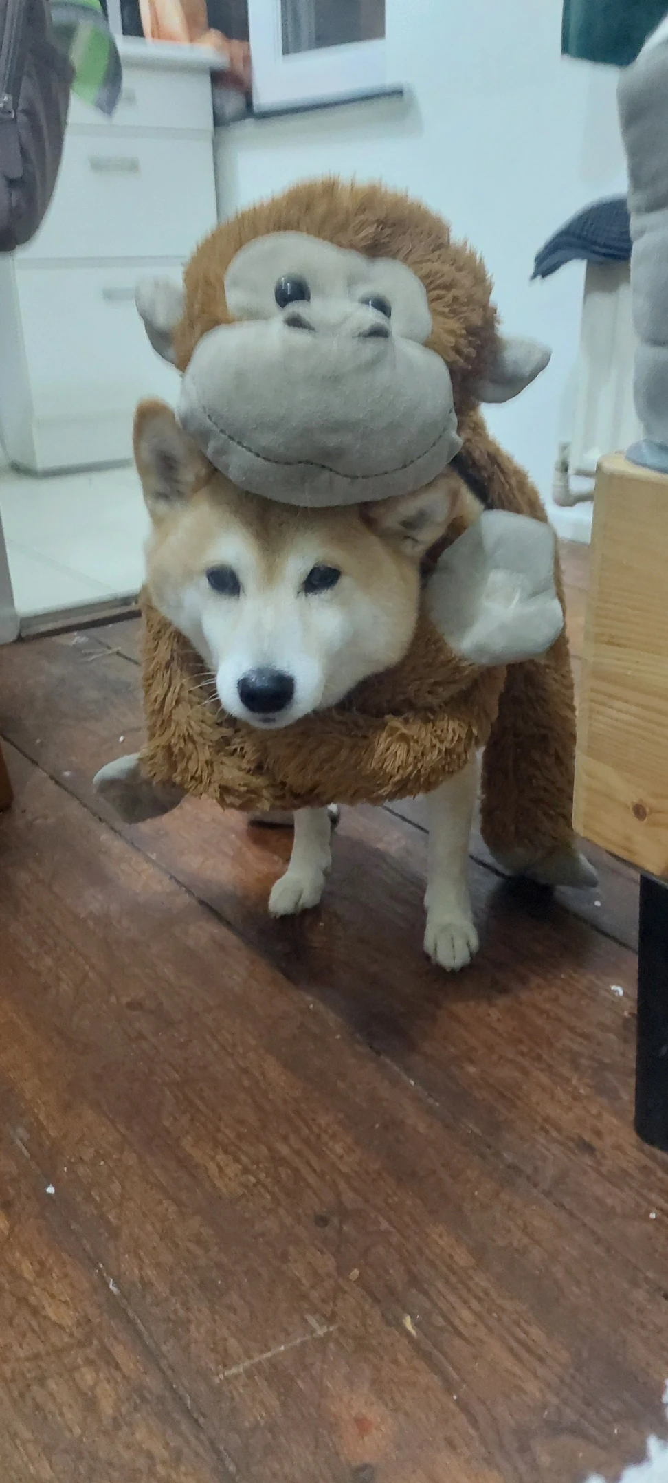 image-4
