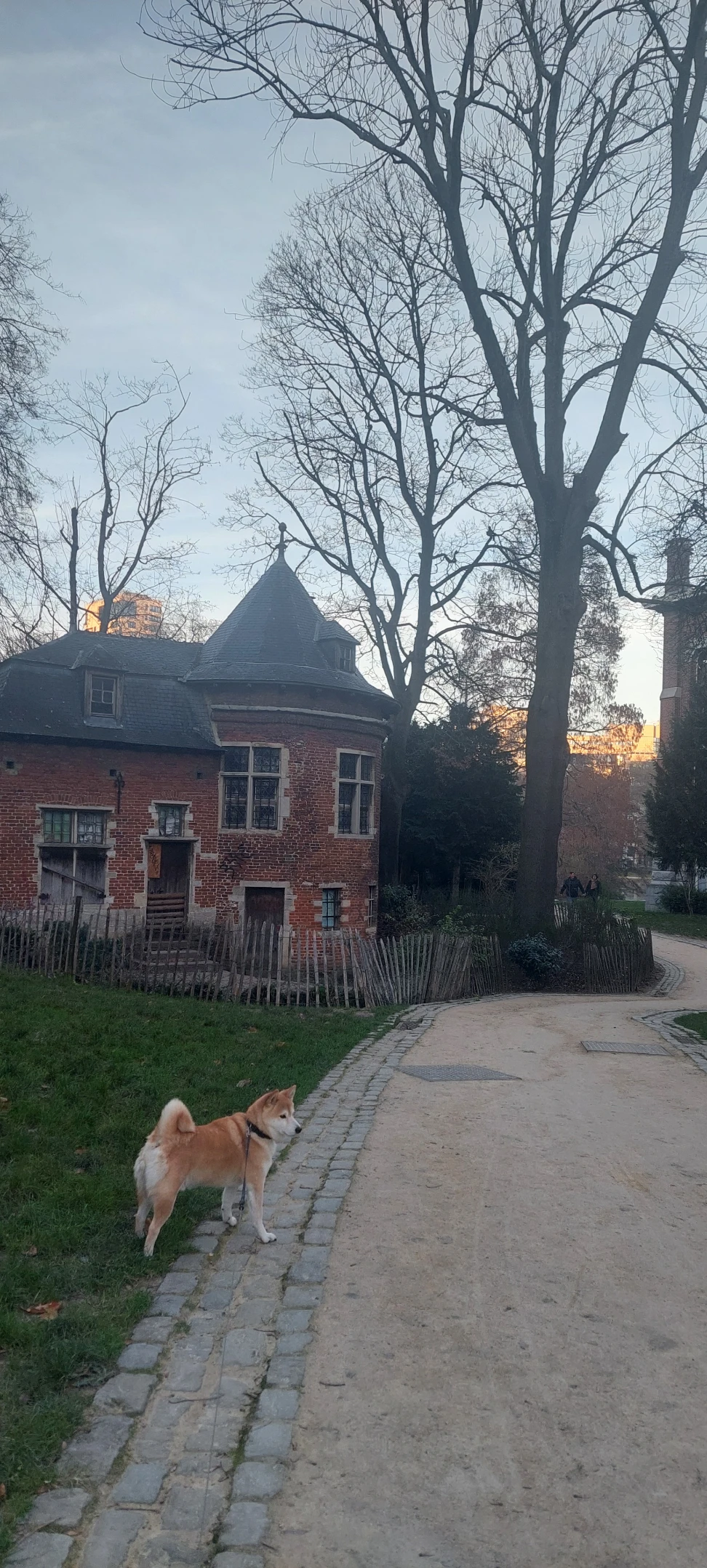 image-18