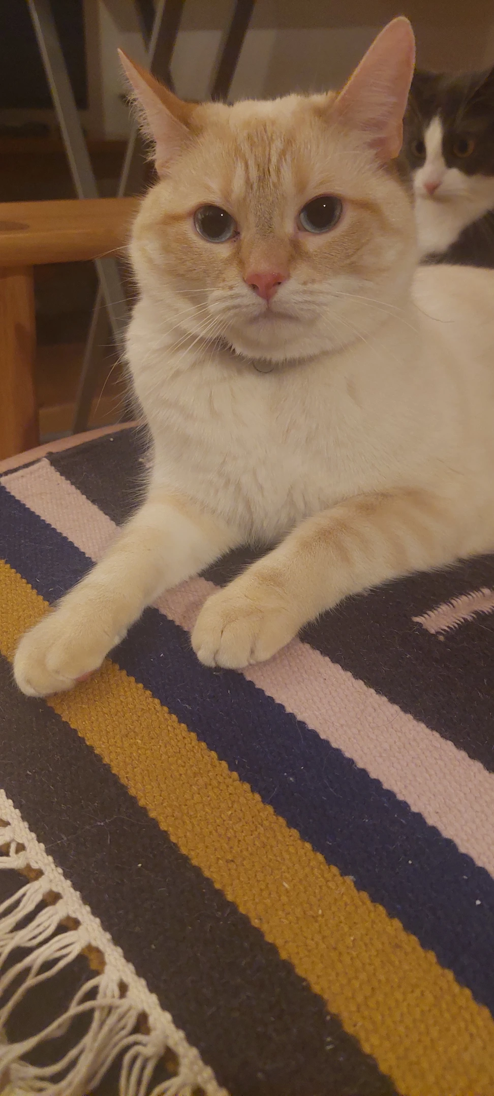 image-1
