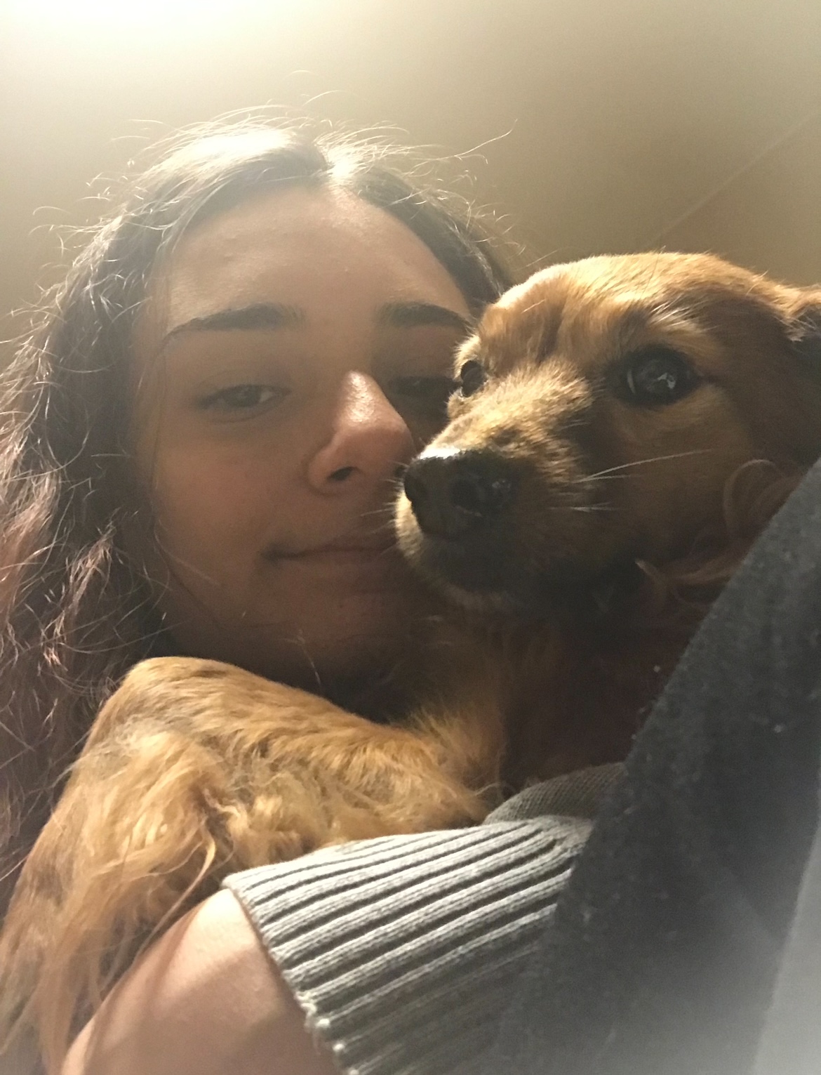 image-6