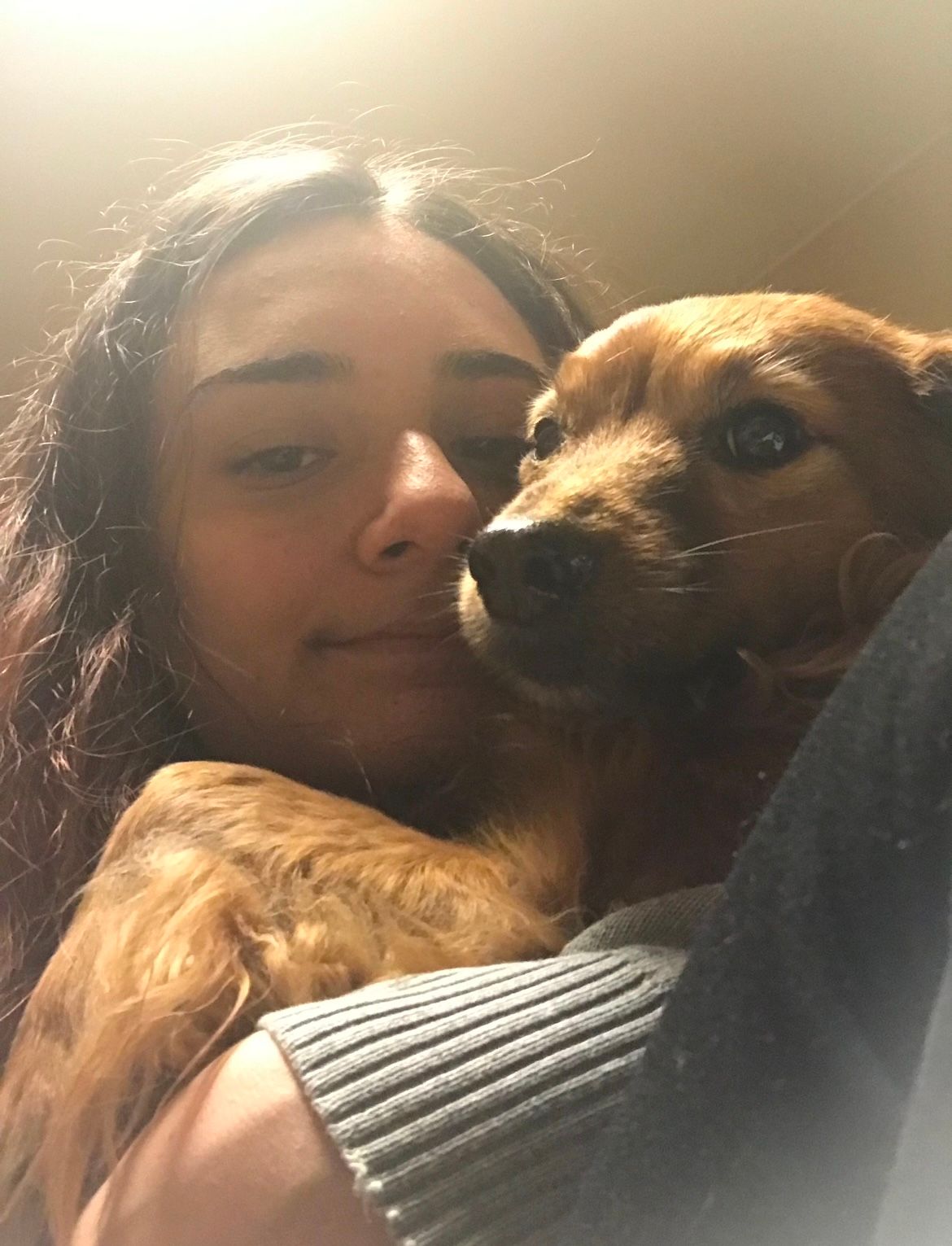 image-6