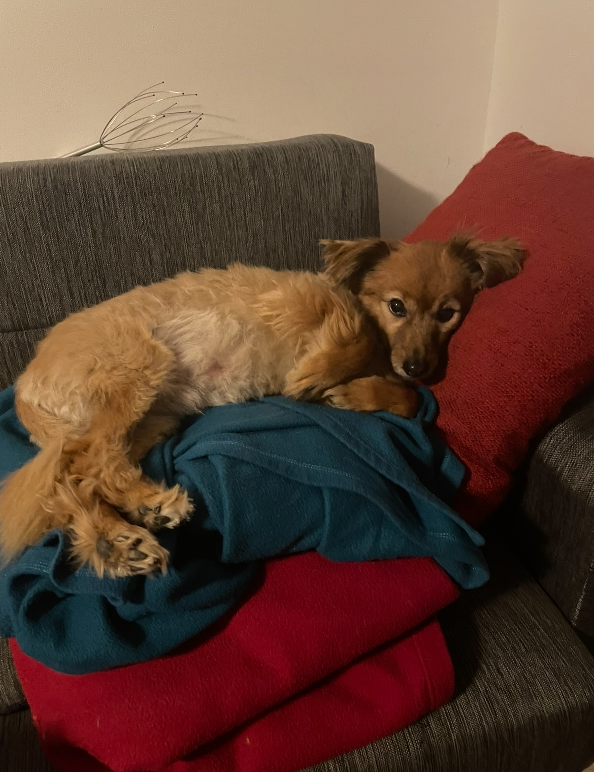 image-12