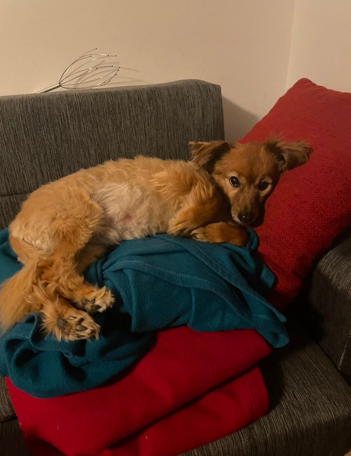 image-12