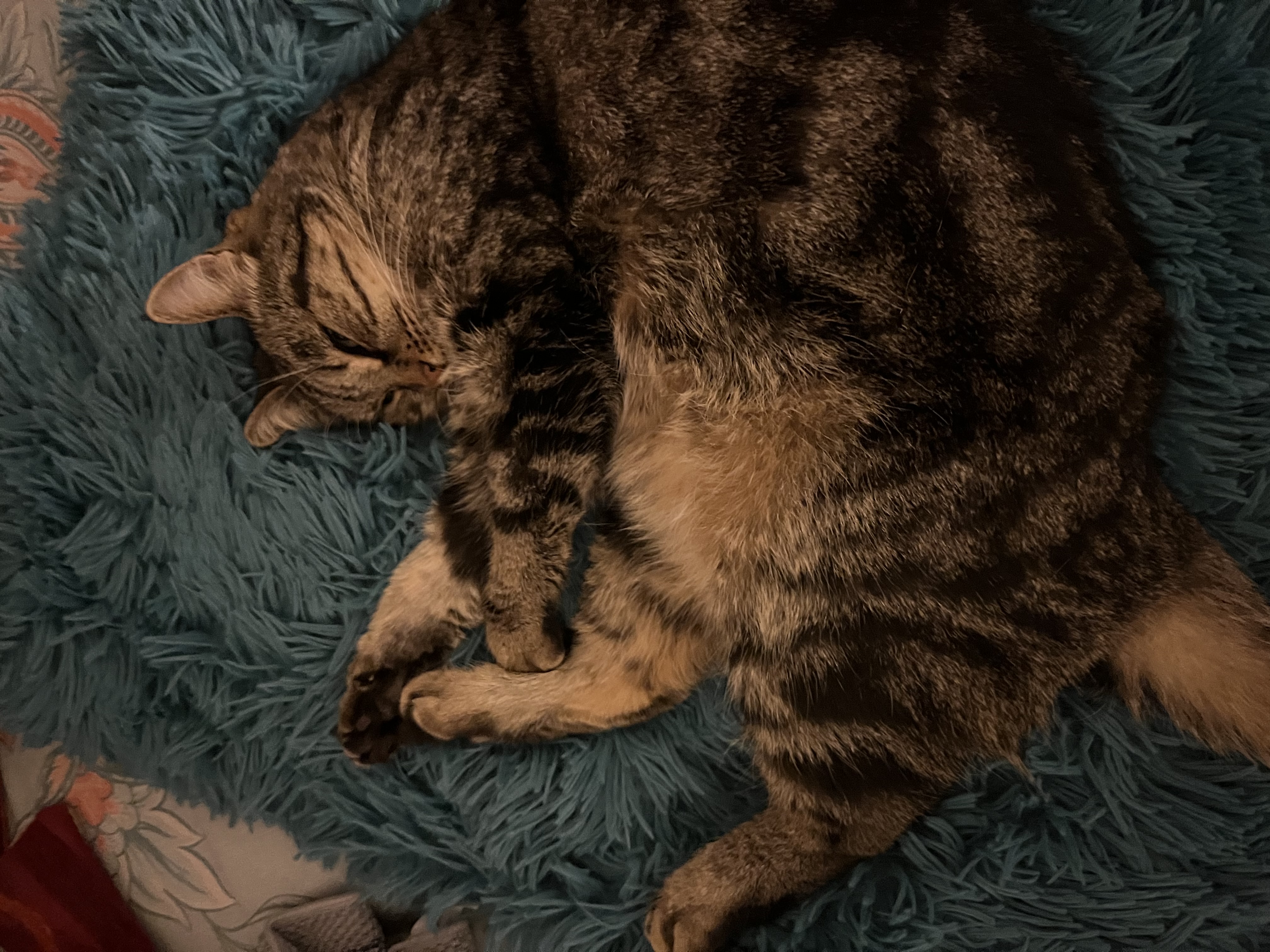 image-12